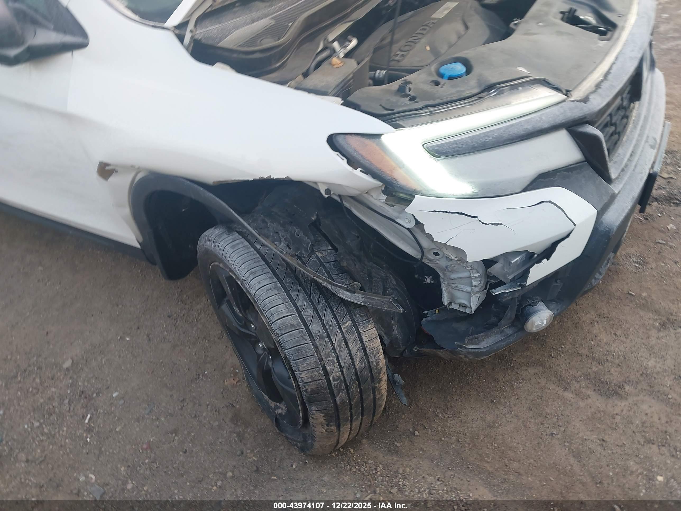 HONDA PASSPORT image 6