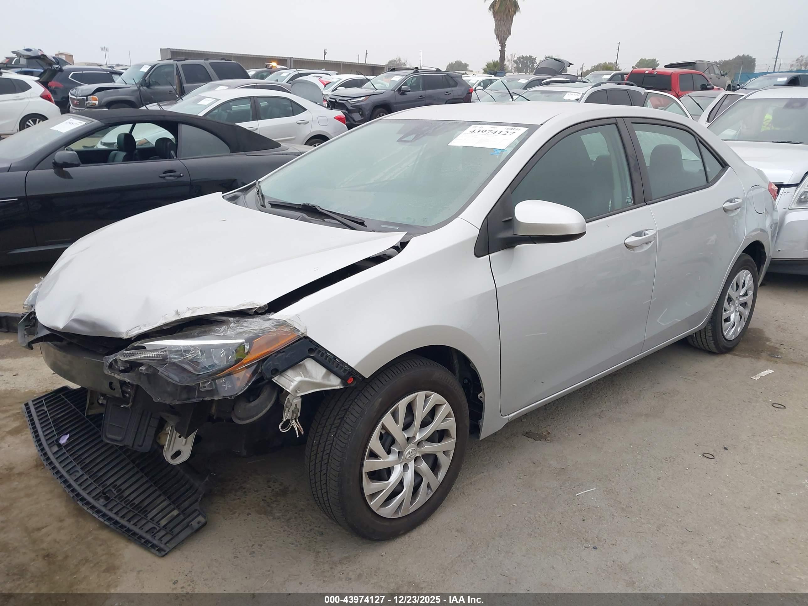 TOYOTA COROLLA image 2