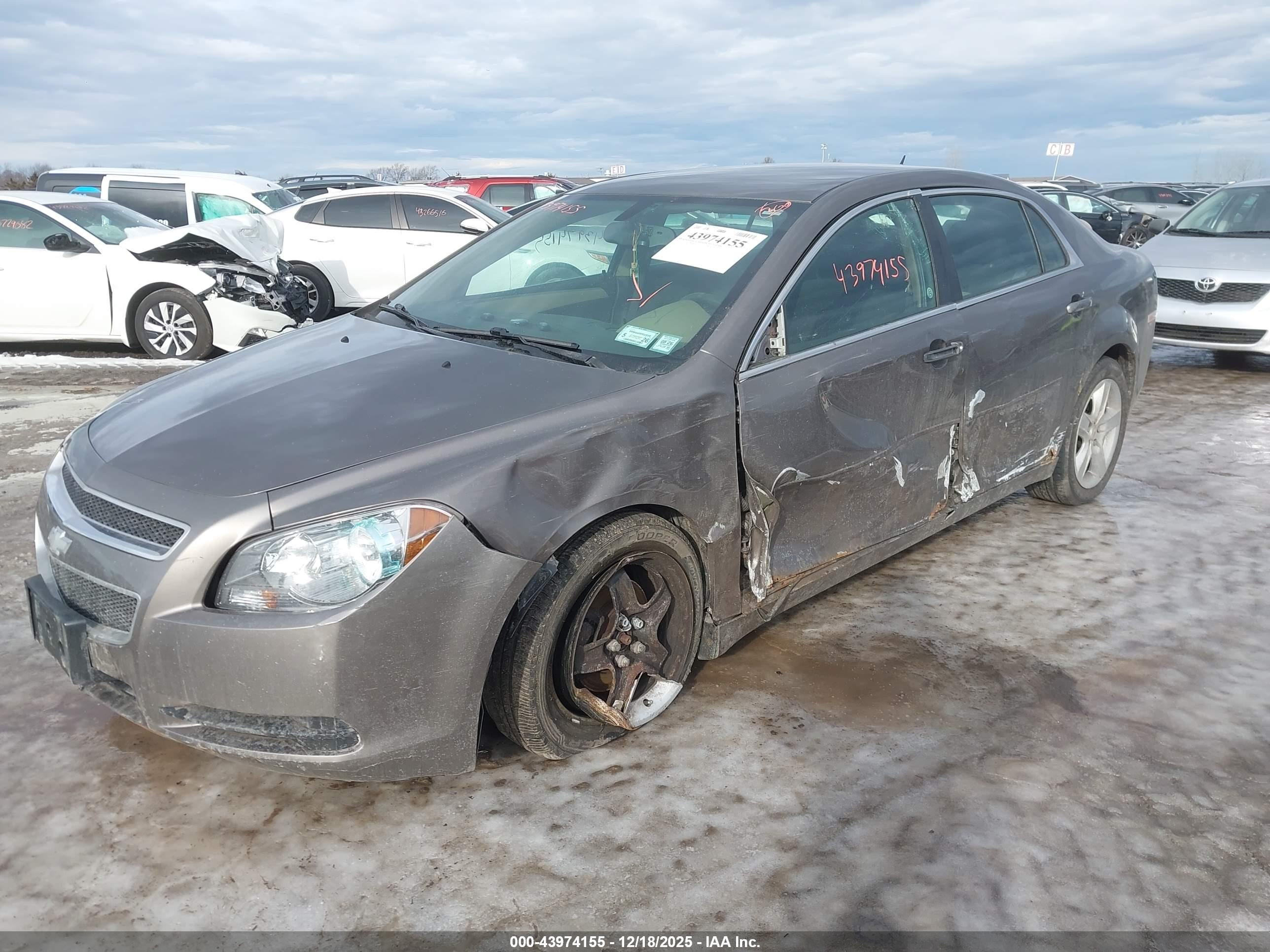 CHEVROLET MALIBU image 2