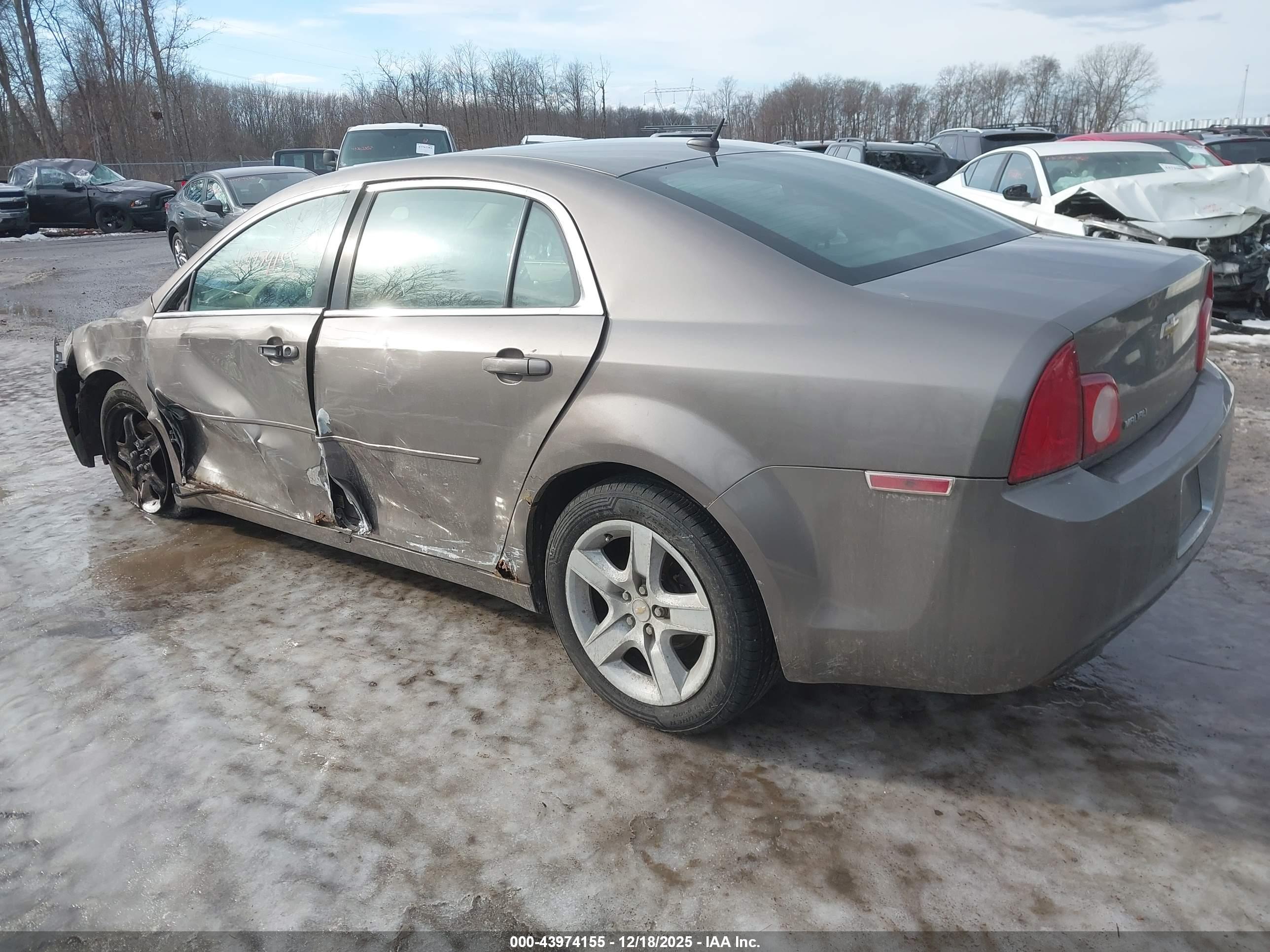 CHEVROLET MALIBU image 3