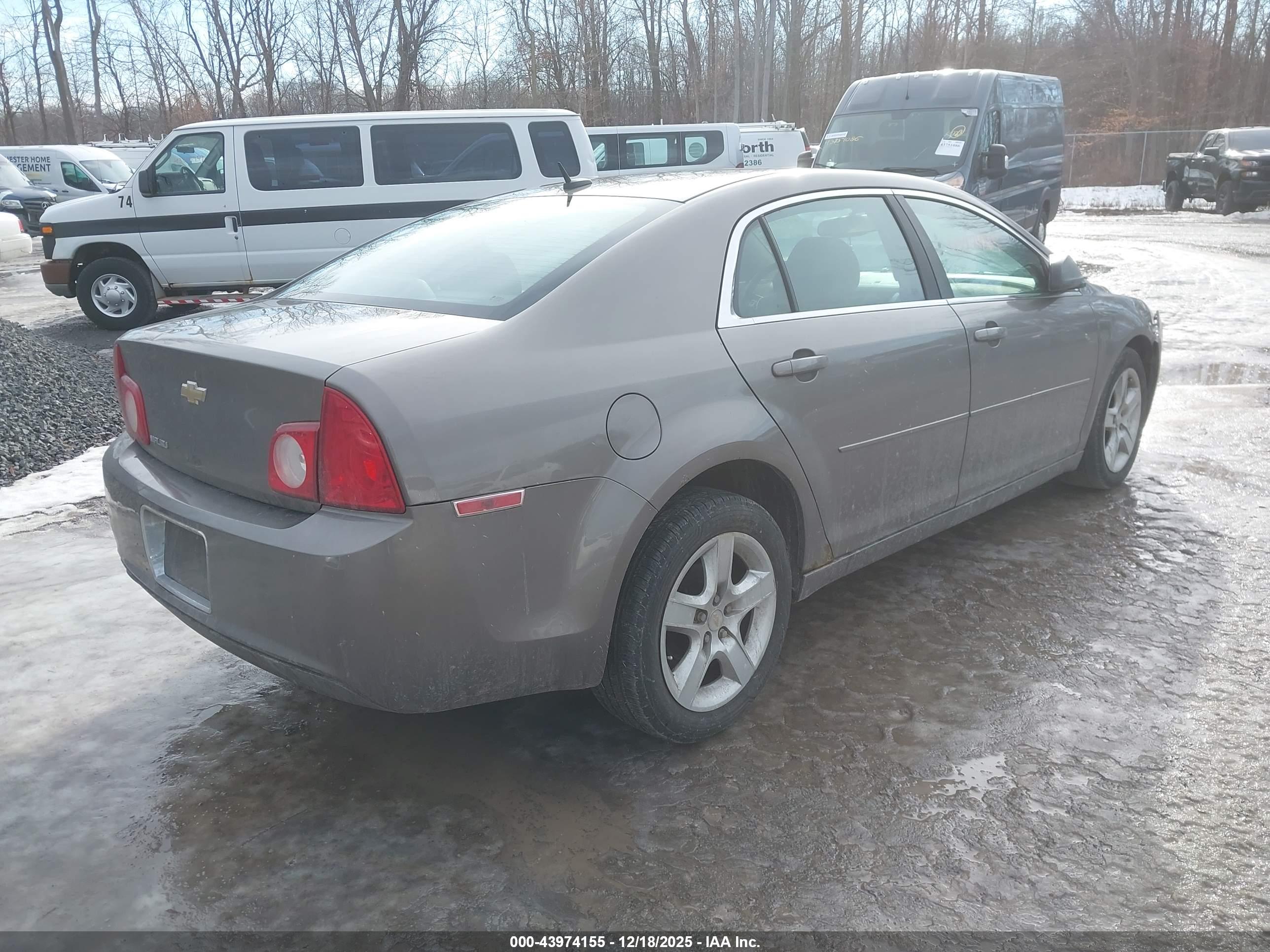 CHEVROLET MALIBU image 4