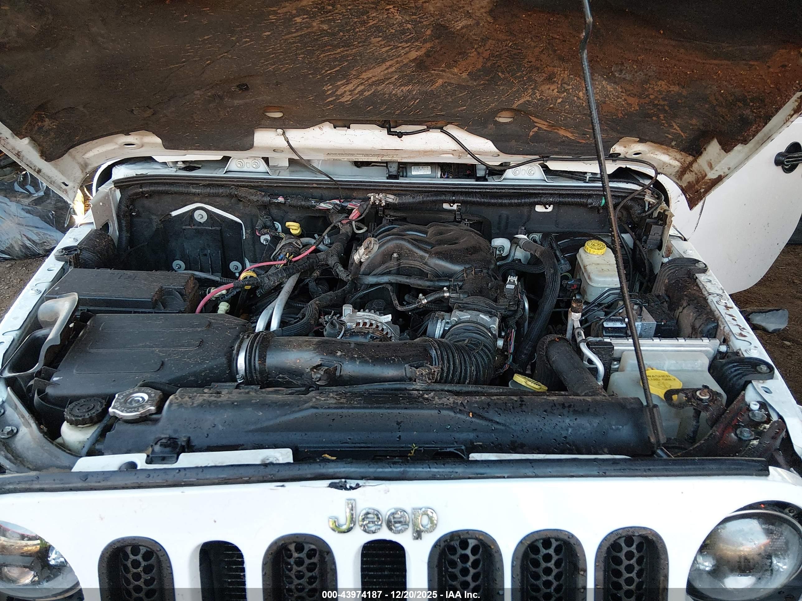 JEEP WRANGLER image 10
