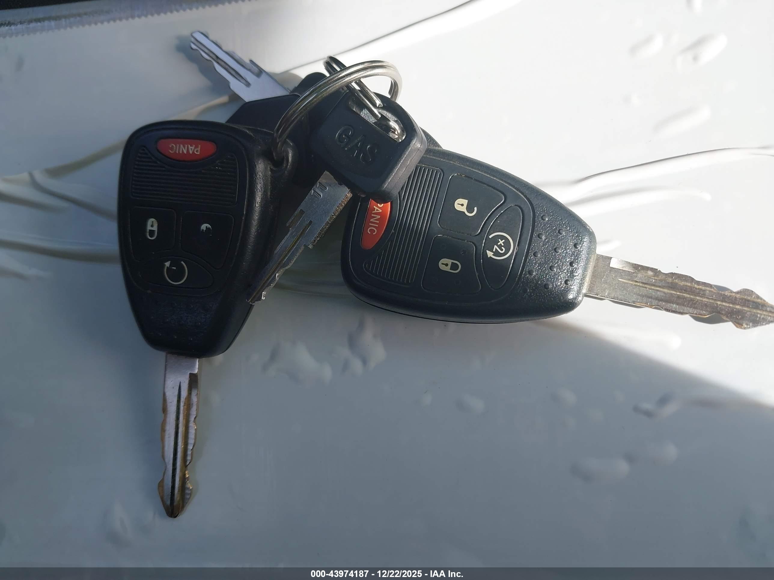 JEEP WRANGLER image 11