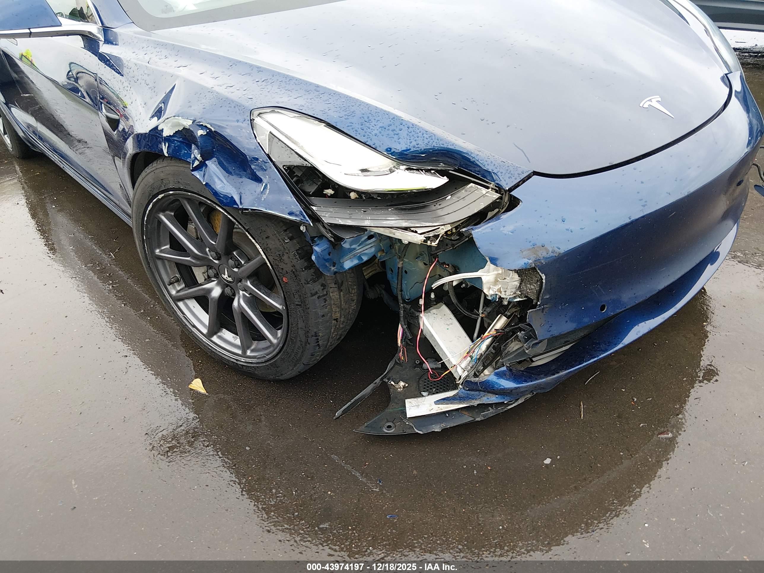 TESLA MODEL image 6
