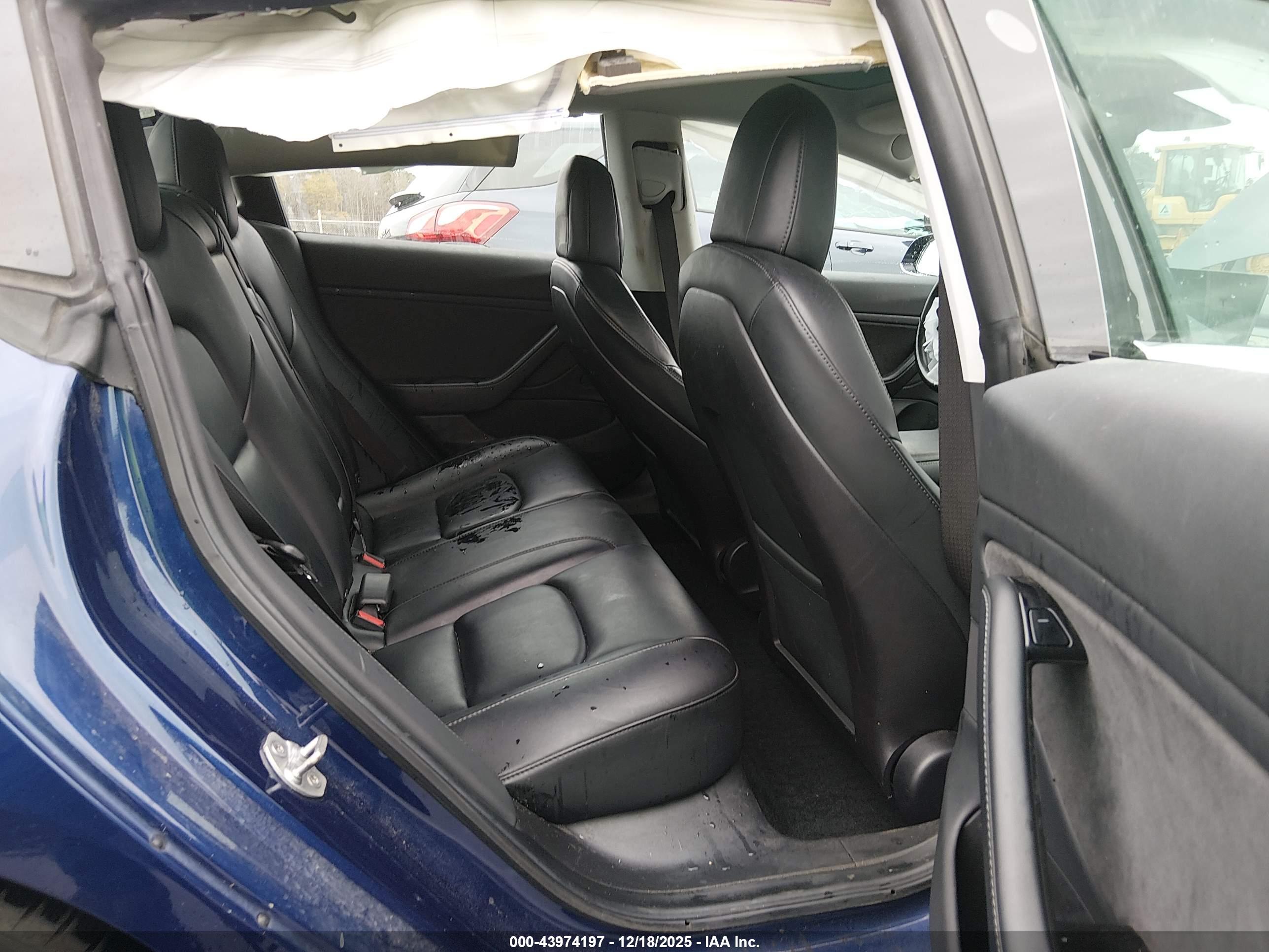 TESLA MODEL image 8