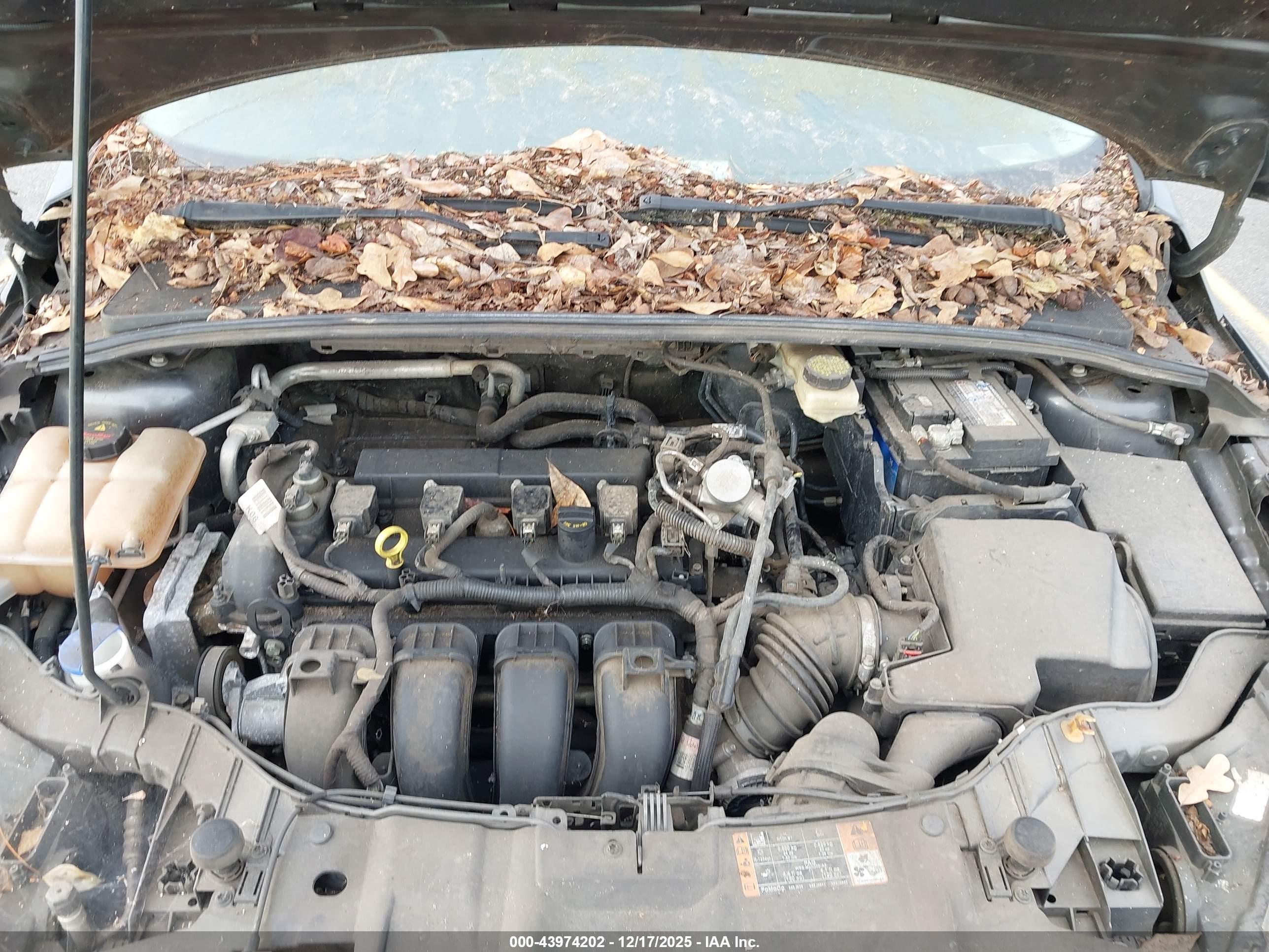 FORD FOCUS image 10