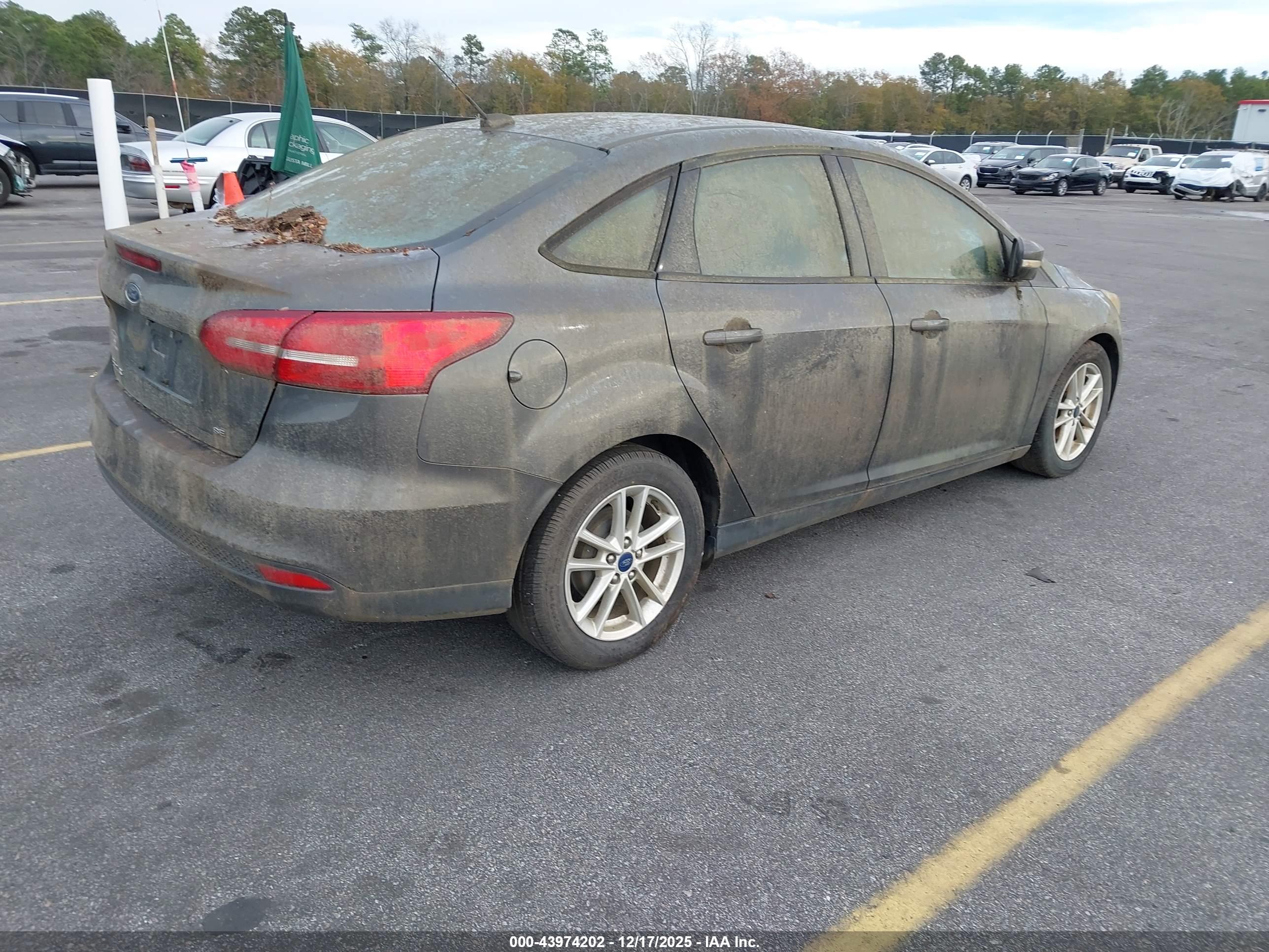 FORD FOCUS image 4