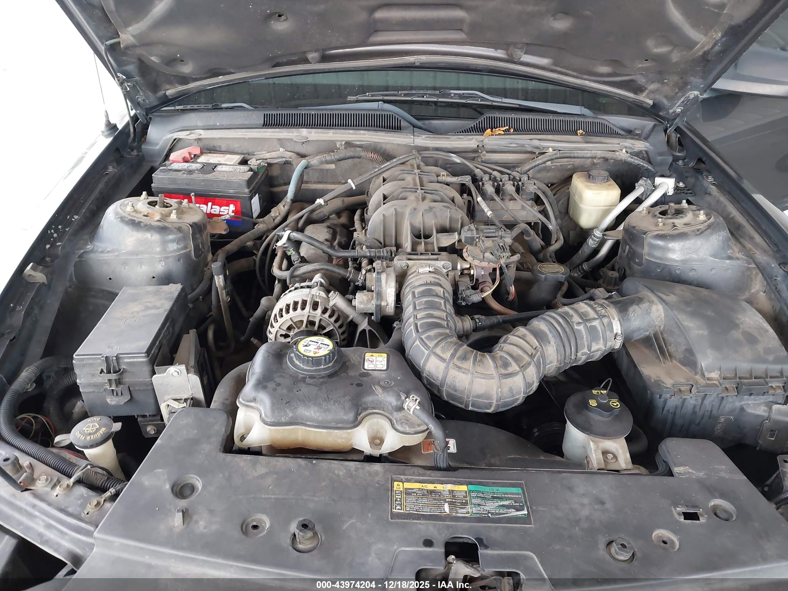 FORD MUSTANG image 10