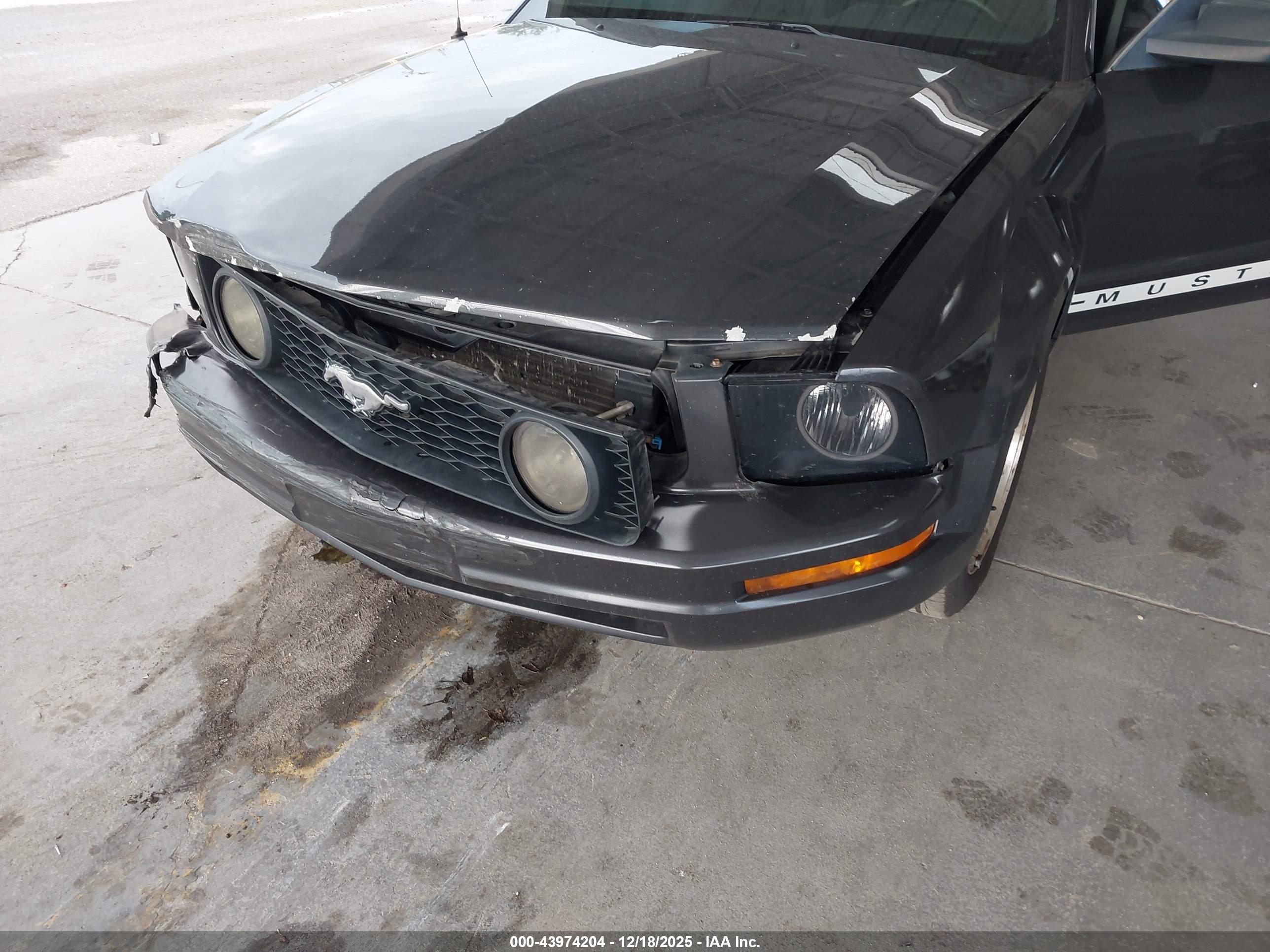 FORD MUSTANG image 6