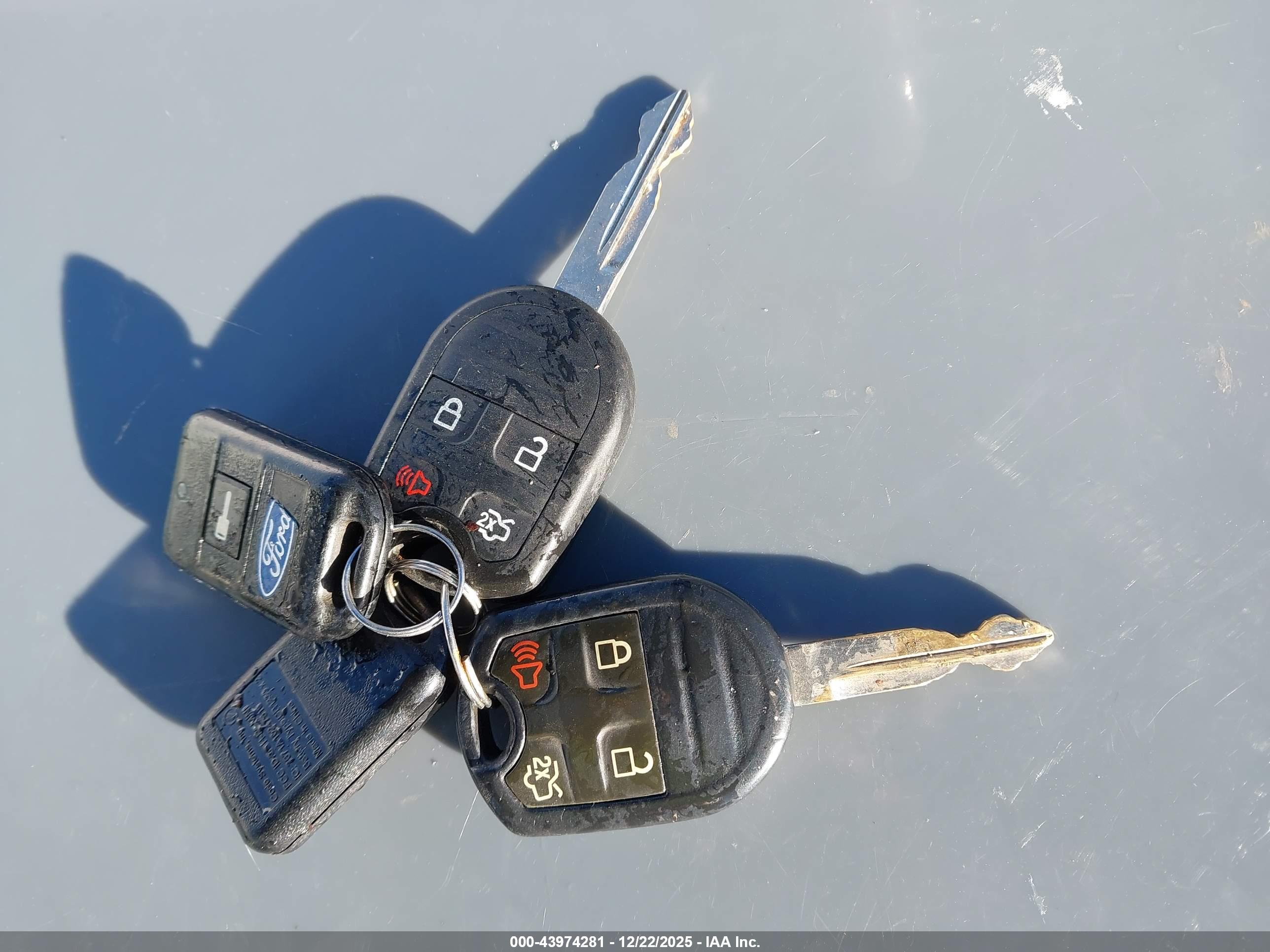 FORD MUSTANG image 11