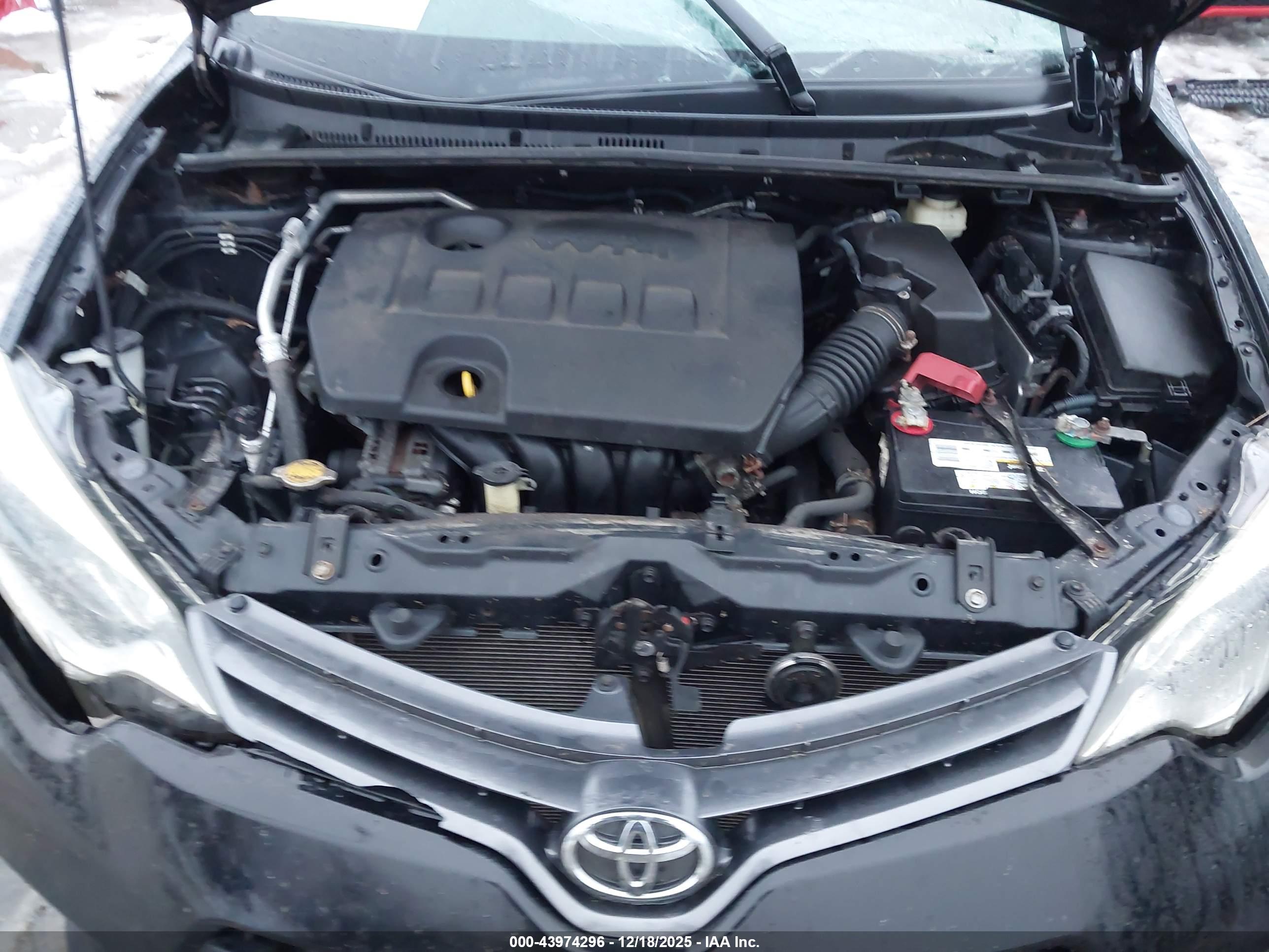 TOYOTA COROLLA image 10