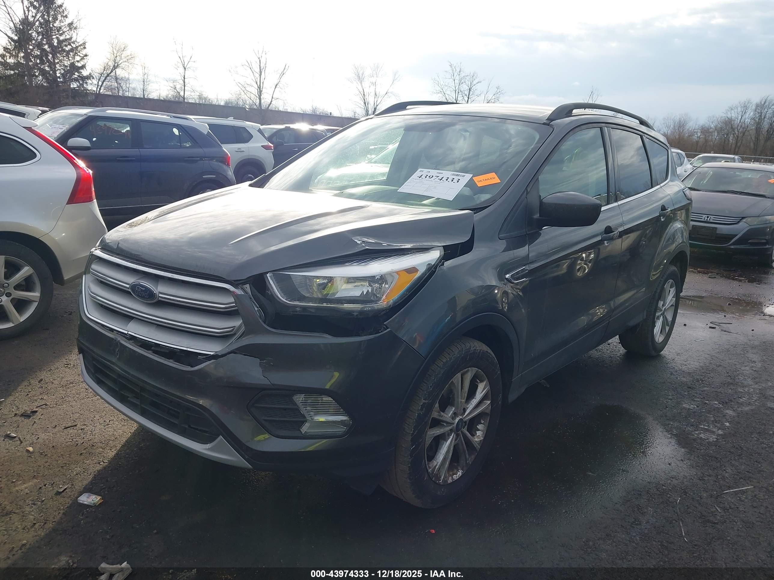 FORD ESCAPE image 2