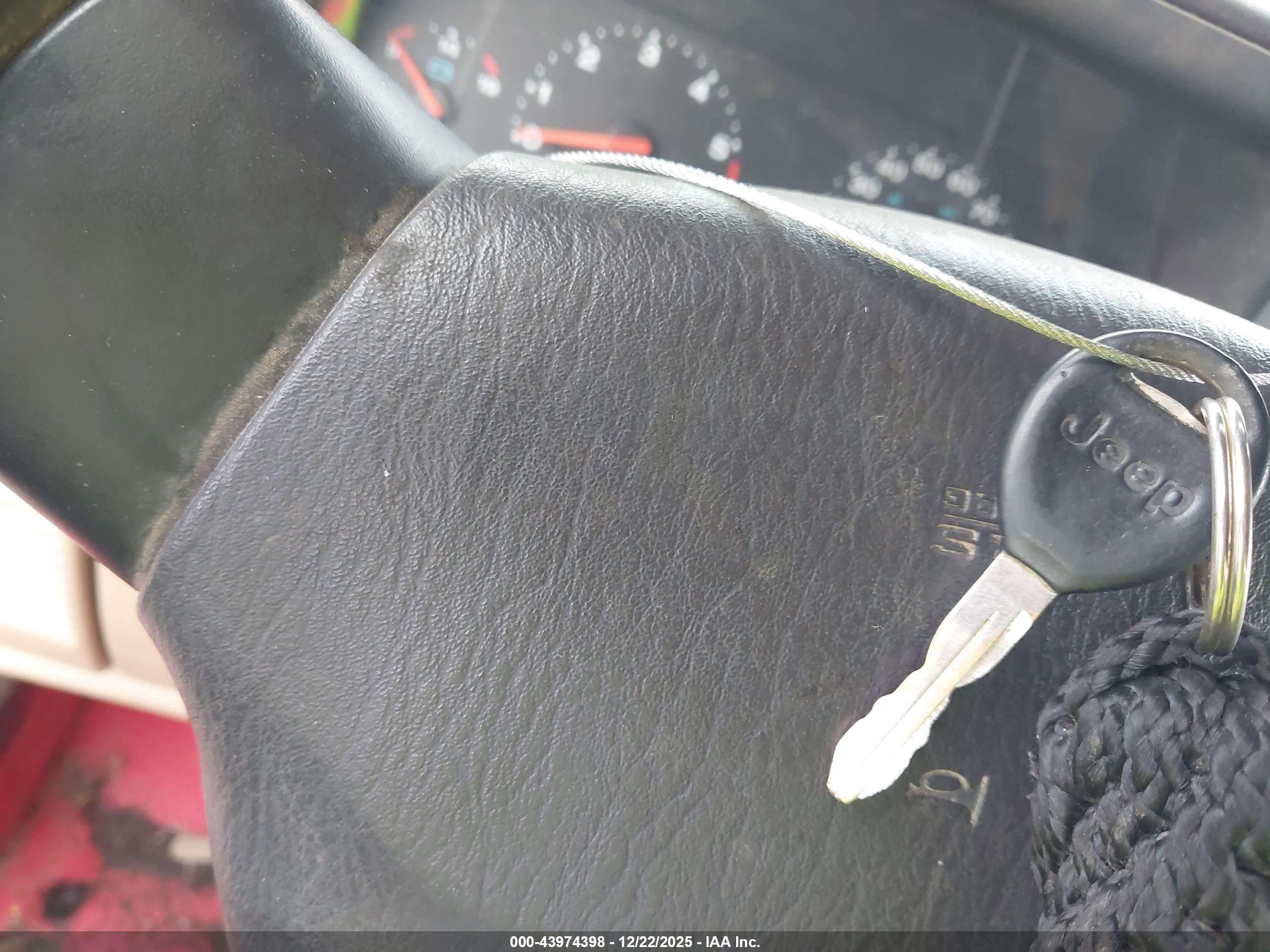 JEEP WRANGLER image 11