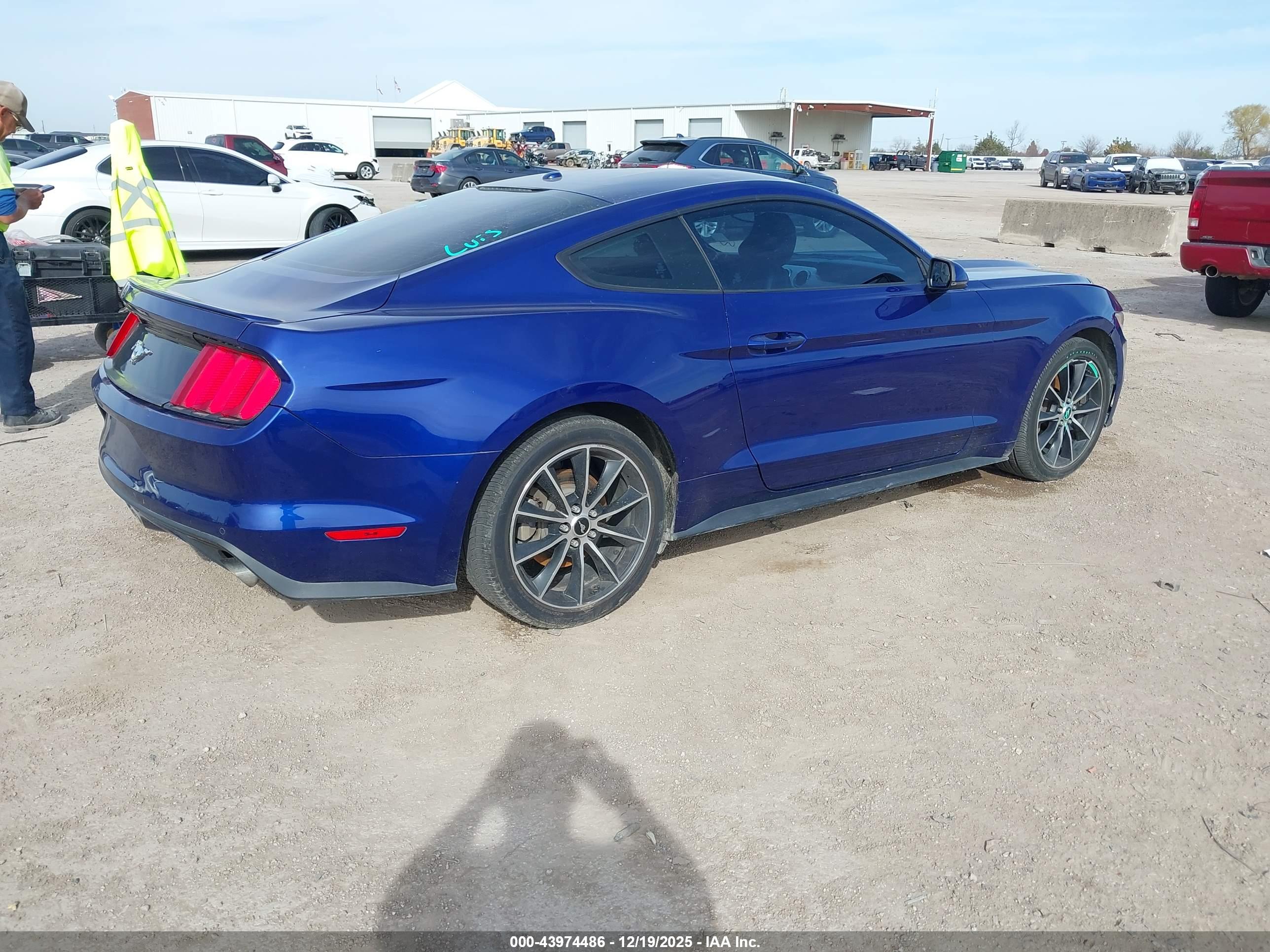 FORD MUSTANG image 4
