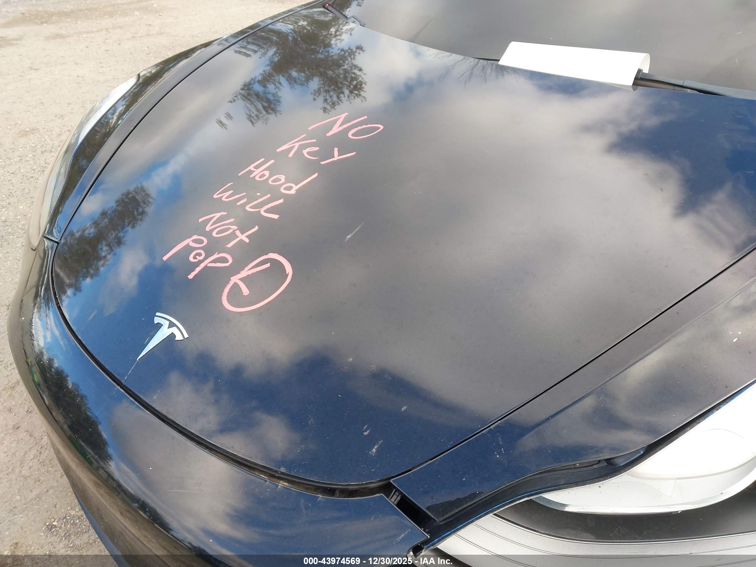 TESLA MODEL image 10