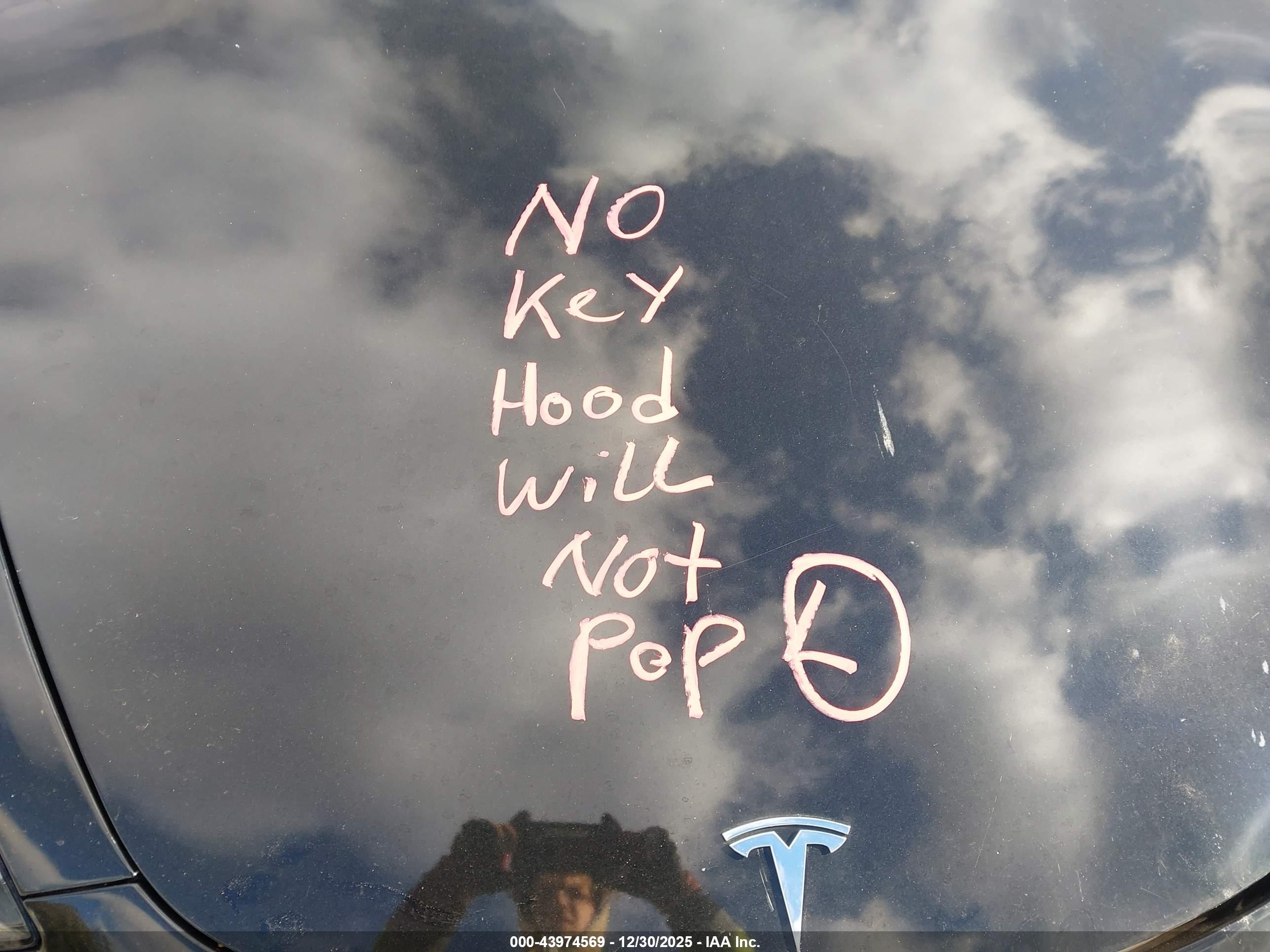 TESLA MODEL image 5