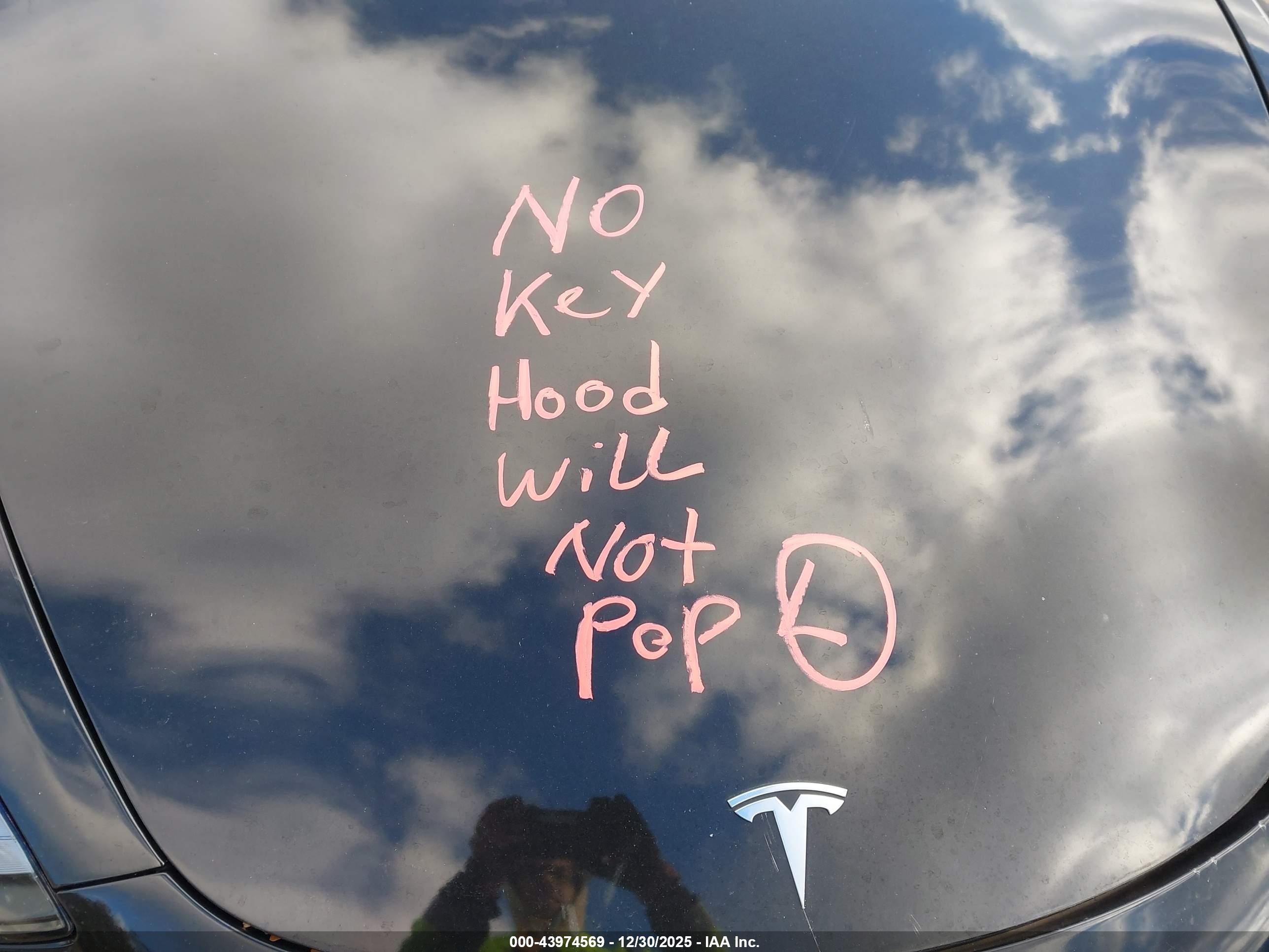 TESLA MODEL image 7