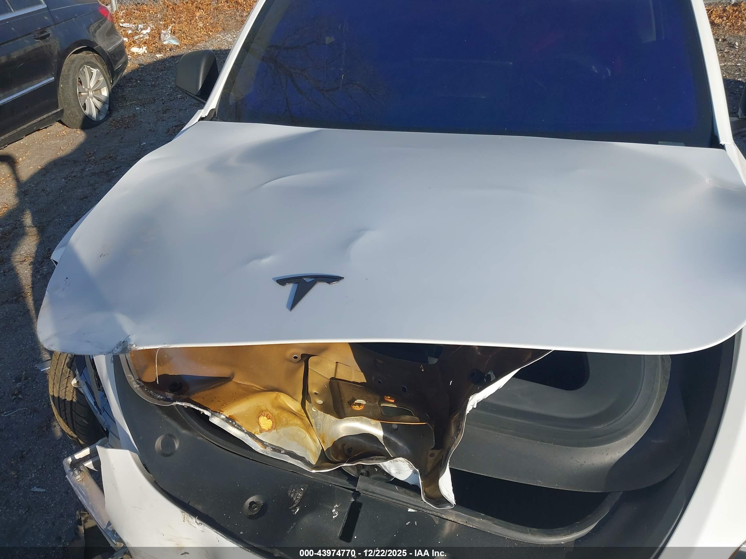TESLA MODEL image 10