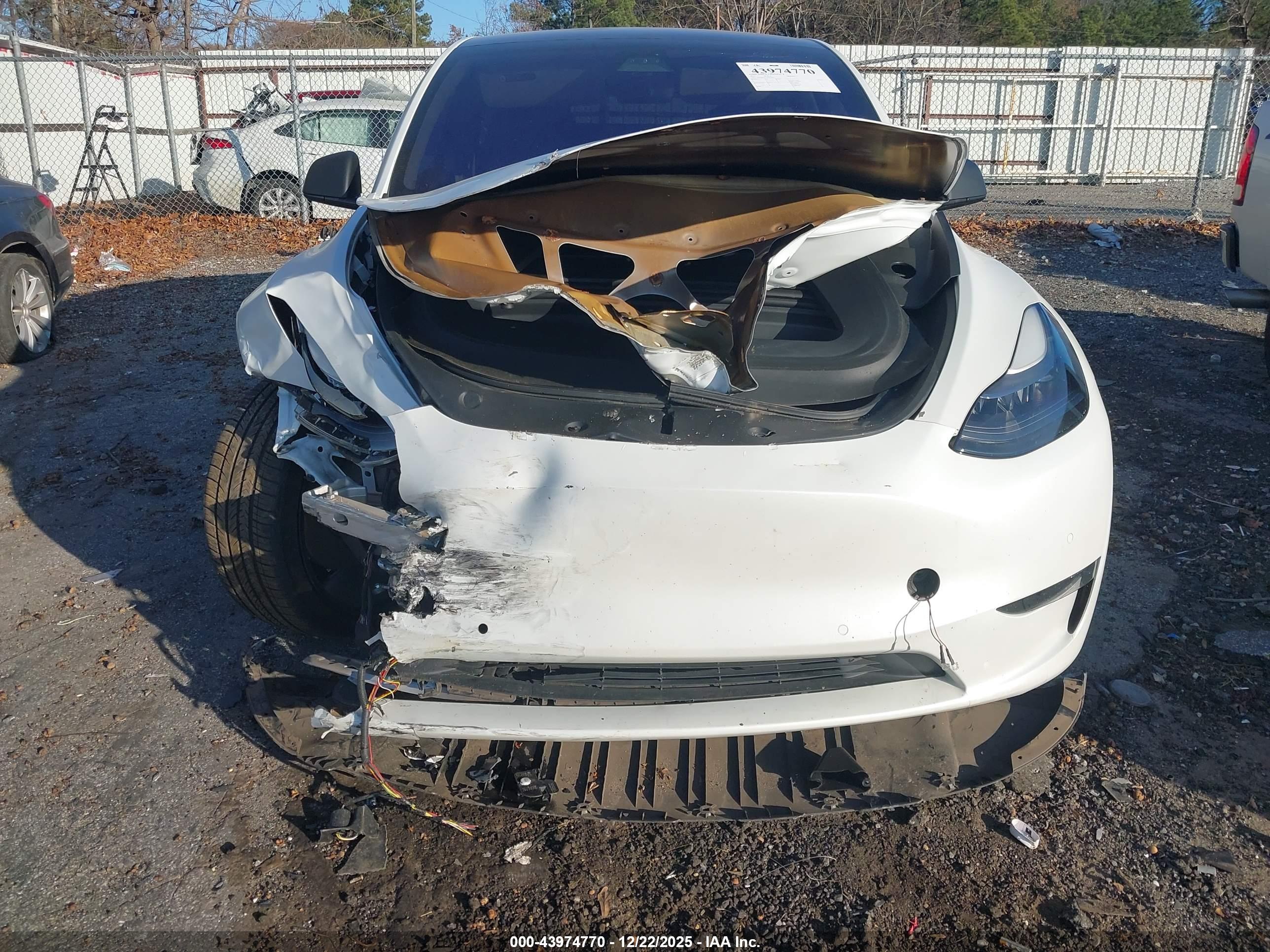 TESLA MODEL image 6