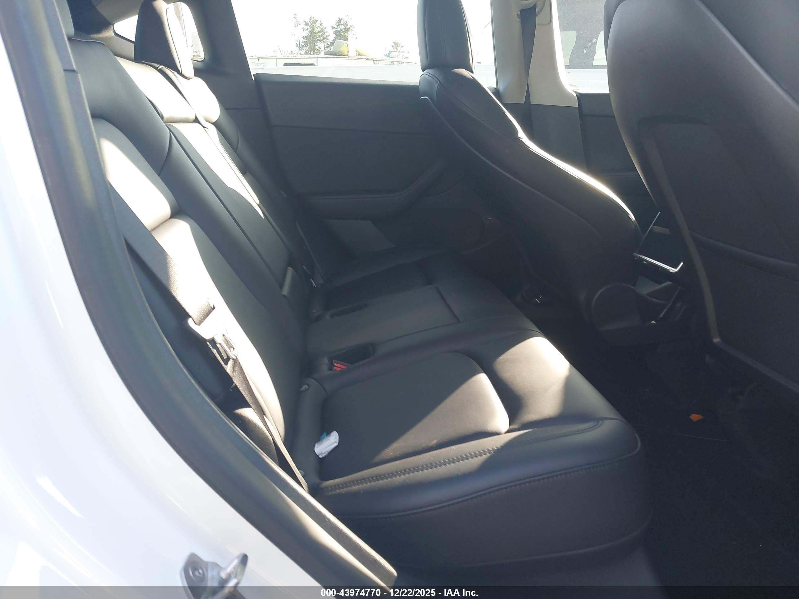 TESLA MODEL image 8