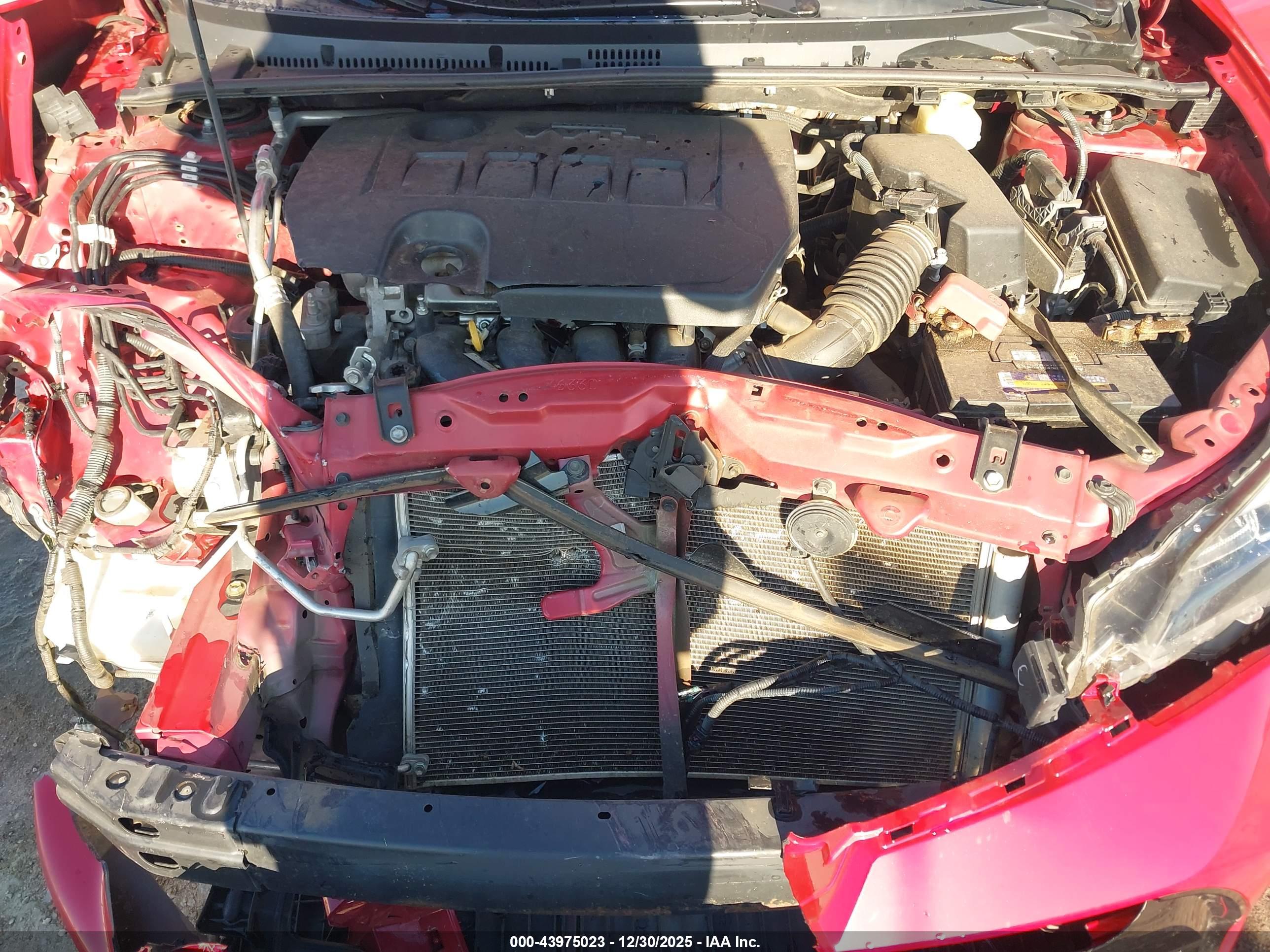 TOYOTA COROLLA image 10