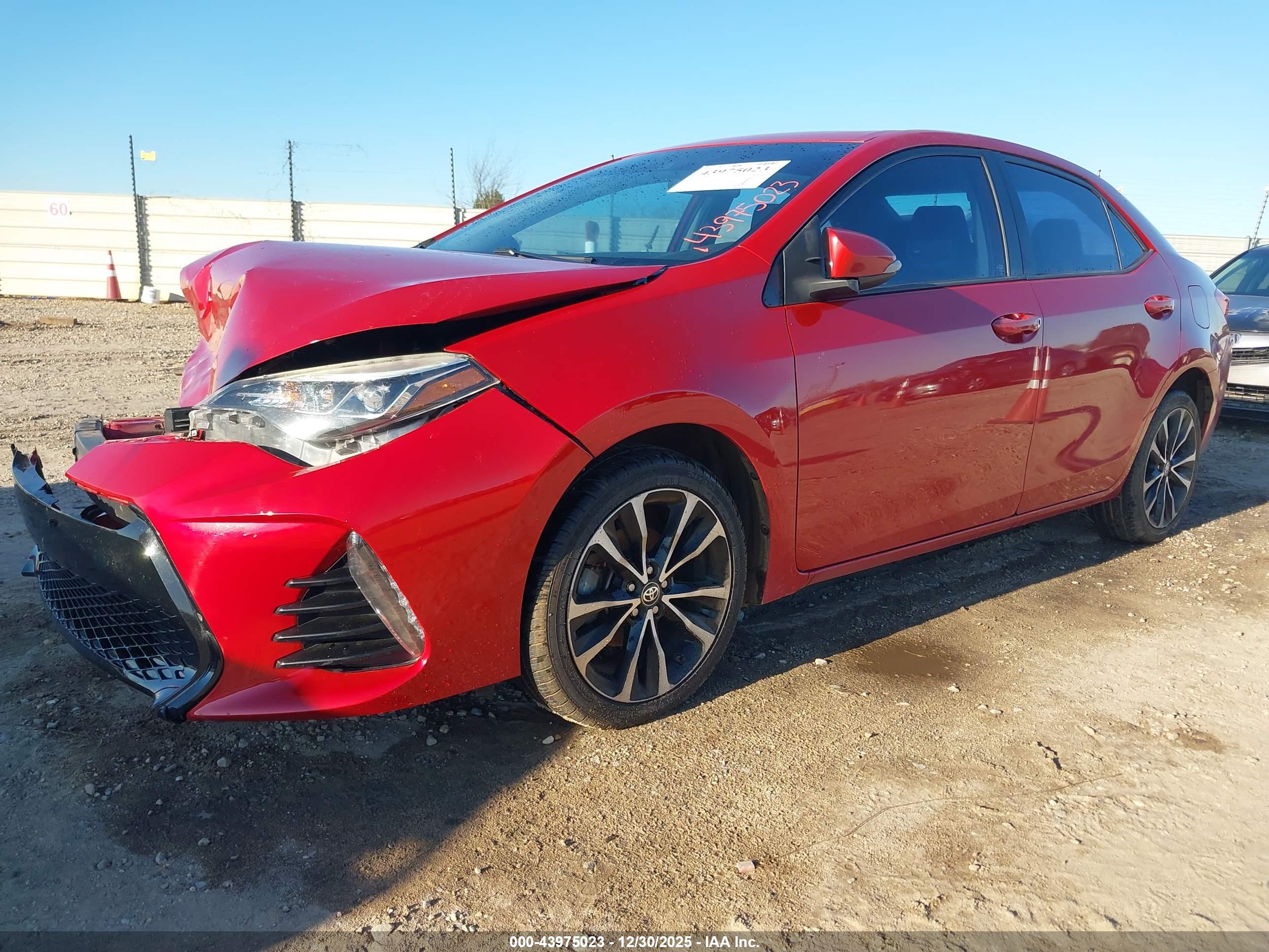 TOYOTA COROLLA image 2