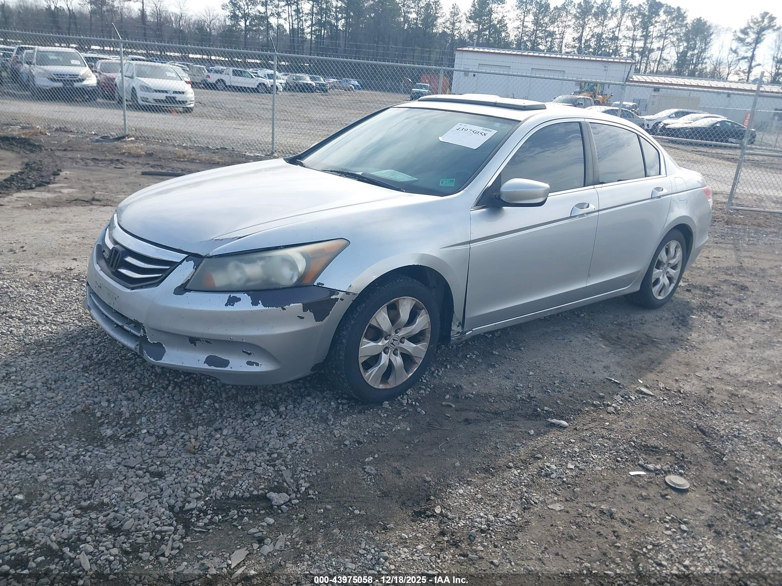 HONDA ACCORD image 2