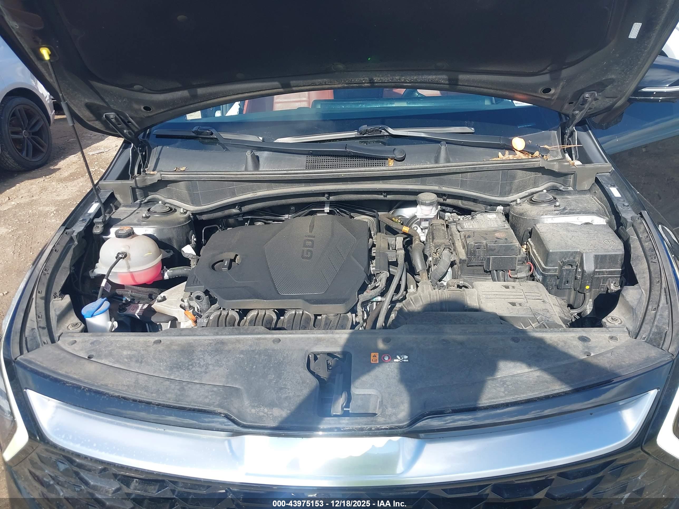 KIA SPORTAGE image 10