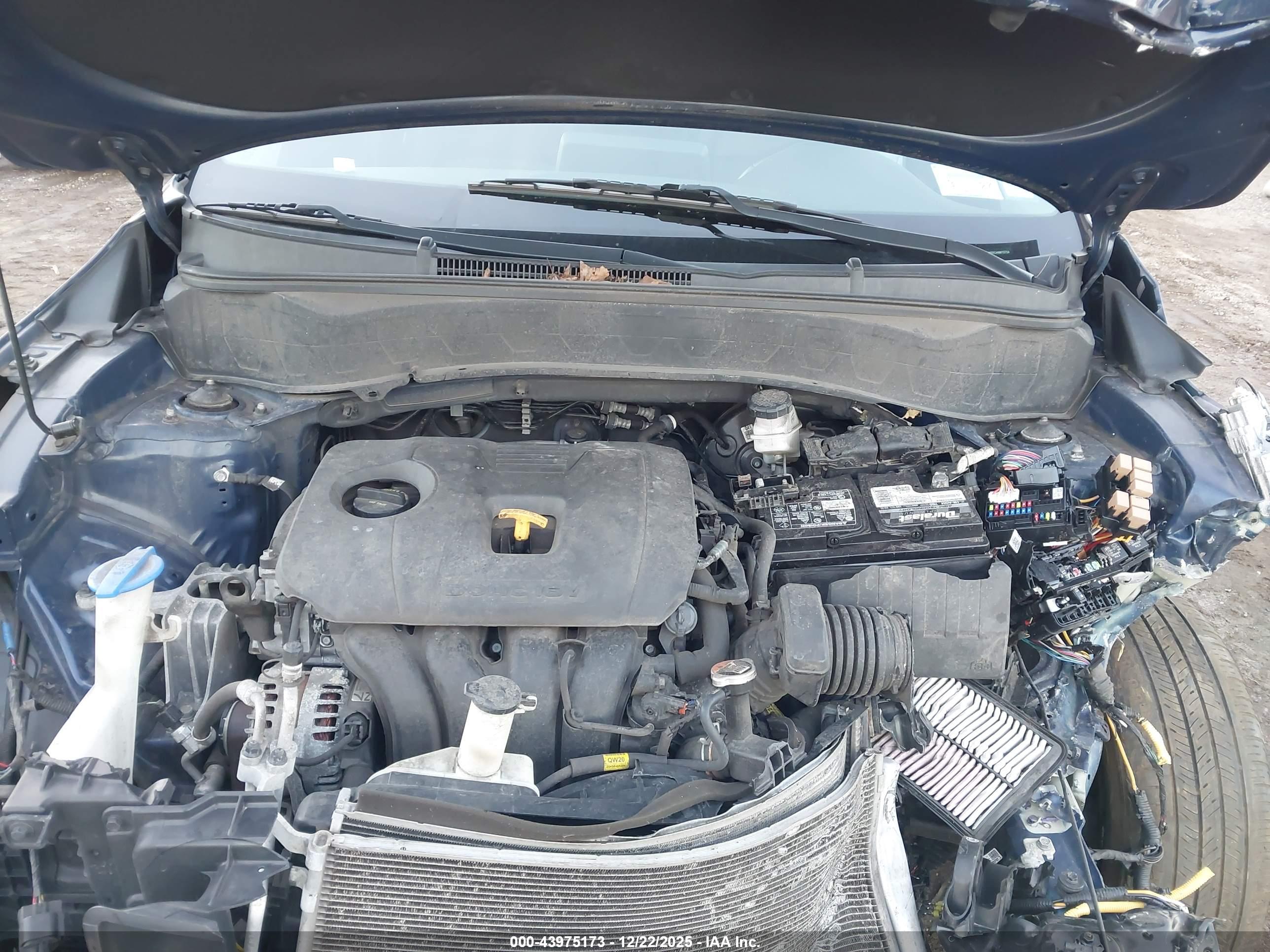 KIA SELTOS image 10