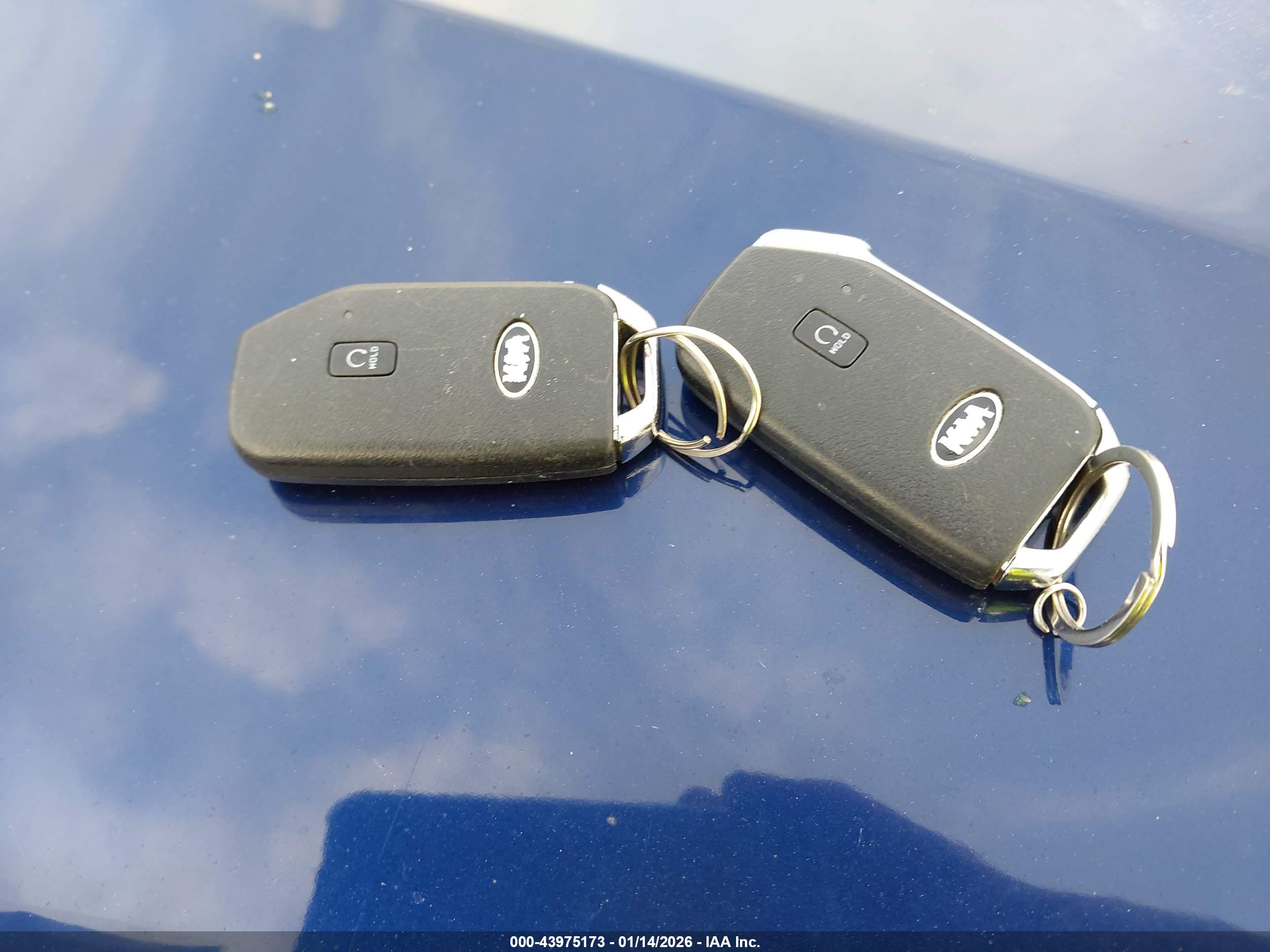 KIA SELTOS image 11