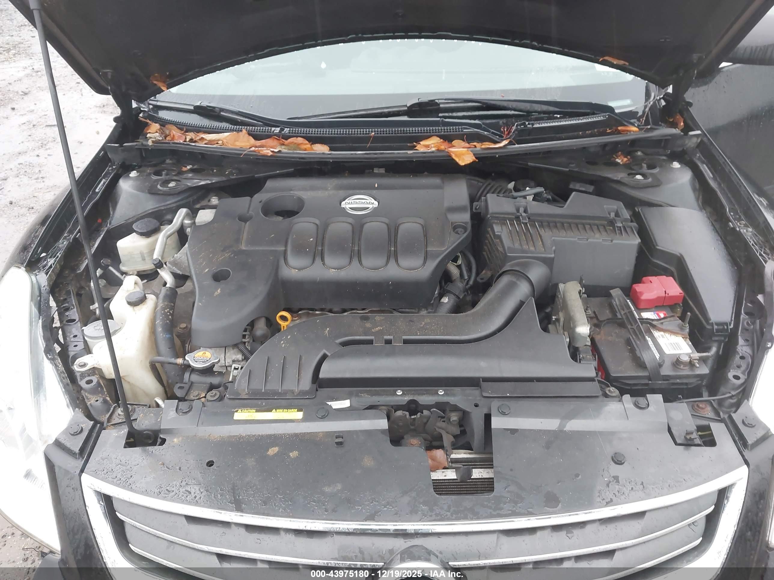 NISSAN ALTIMA image 10