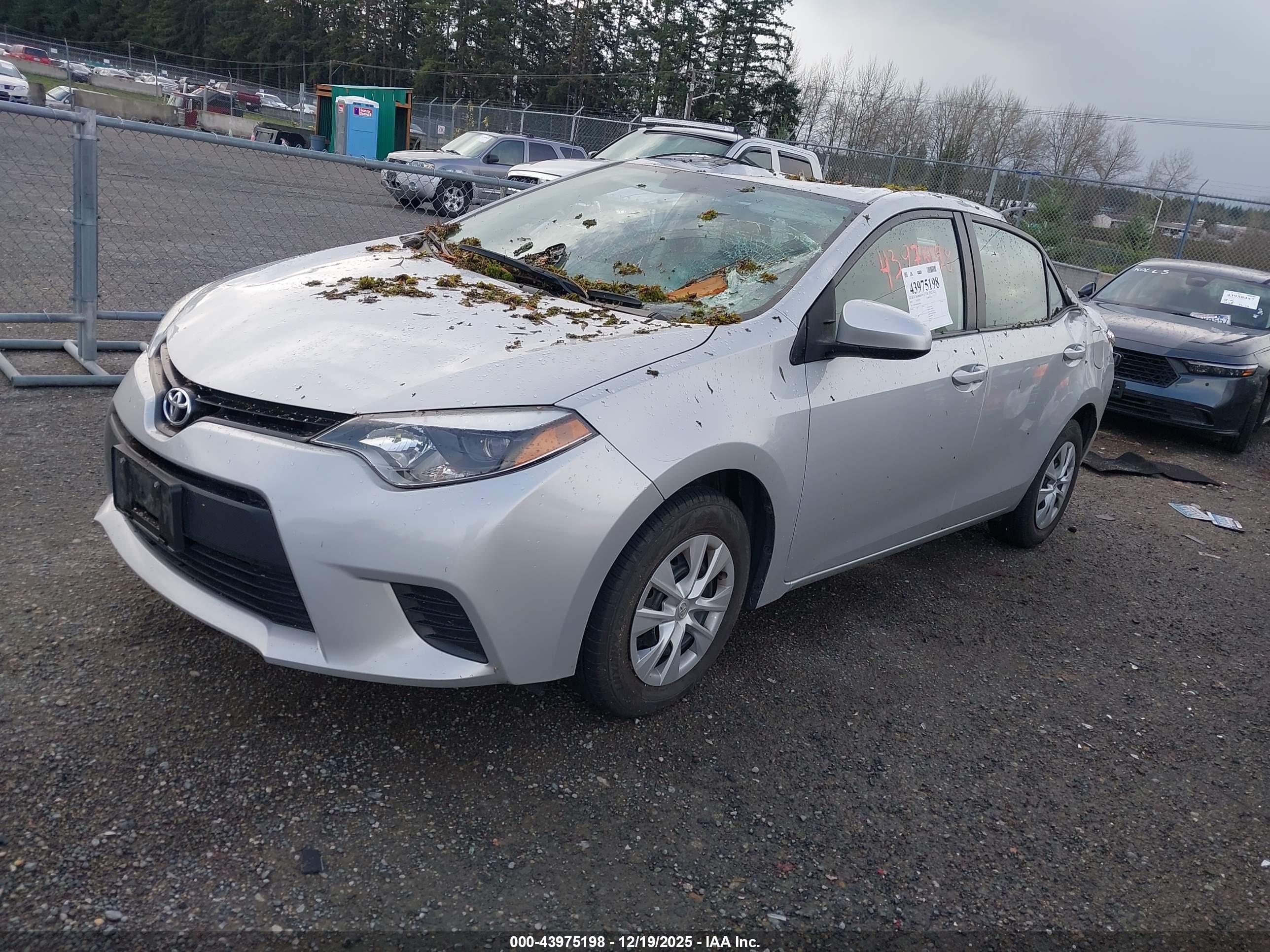 TOYOTA COROLLA image 2