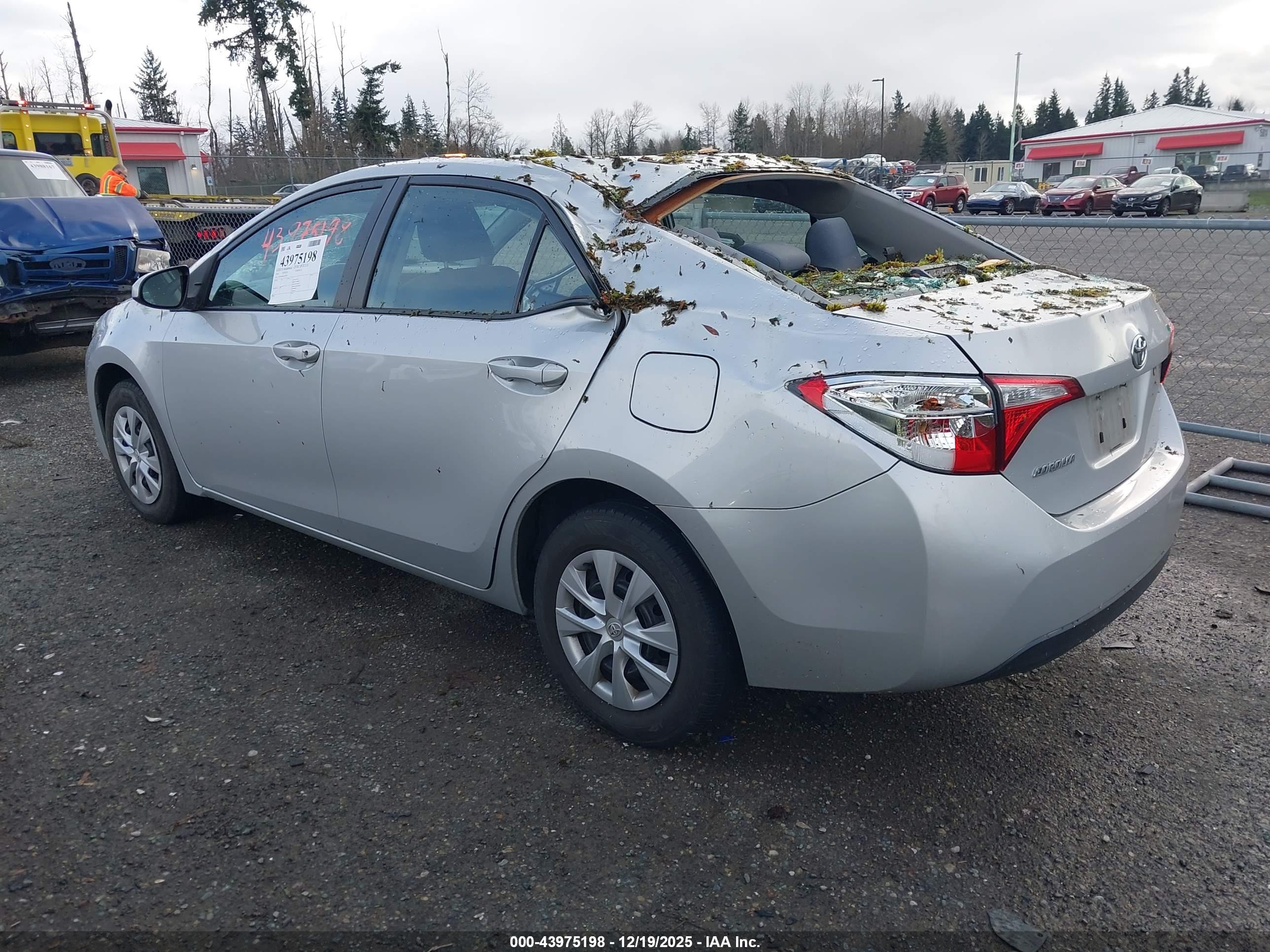 TOYOTA COROLLA image 3