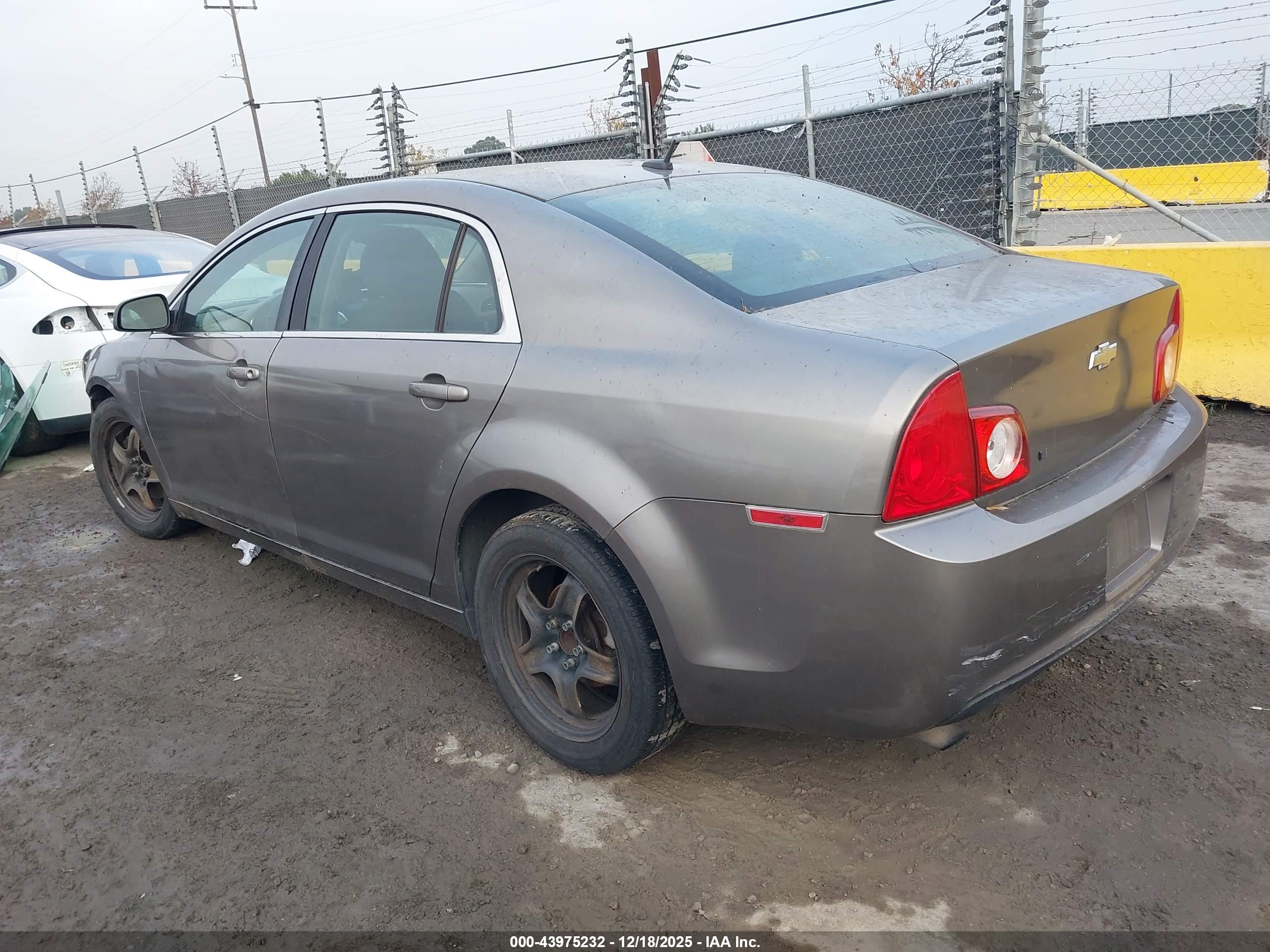 CHEVROLET MALIBU image 3