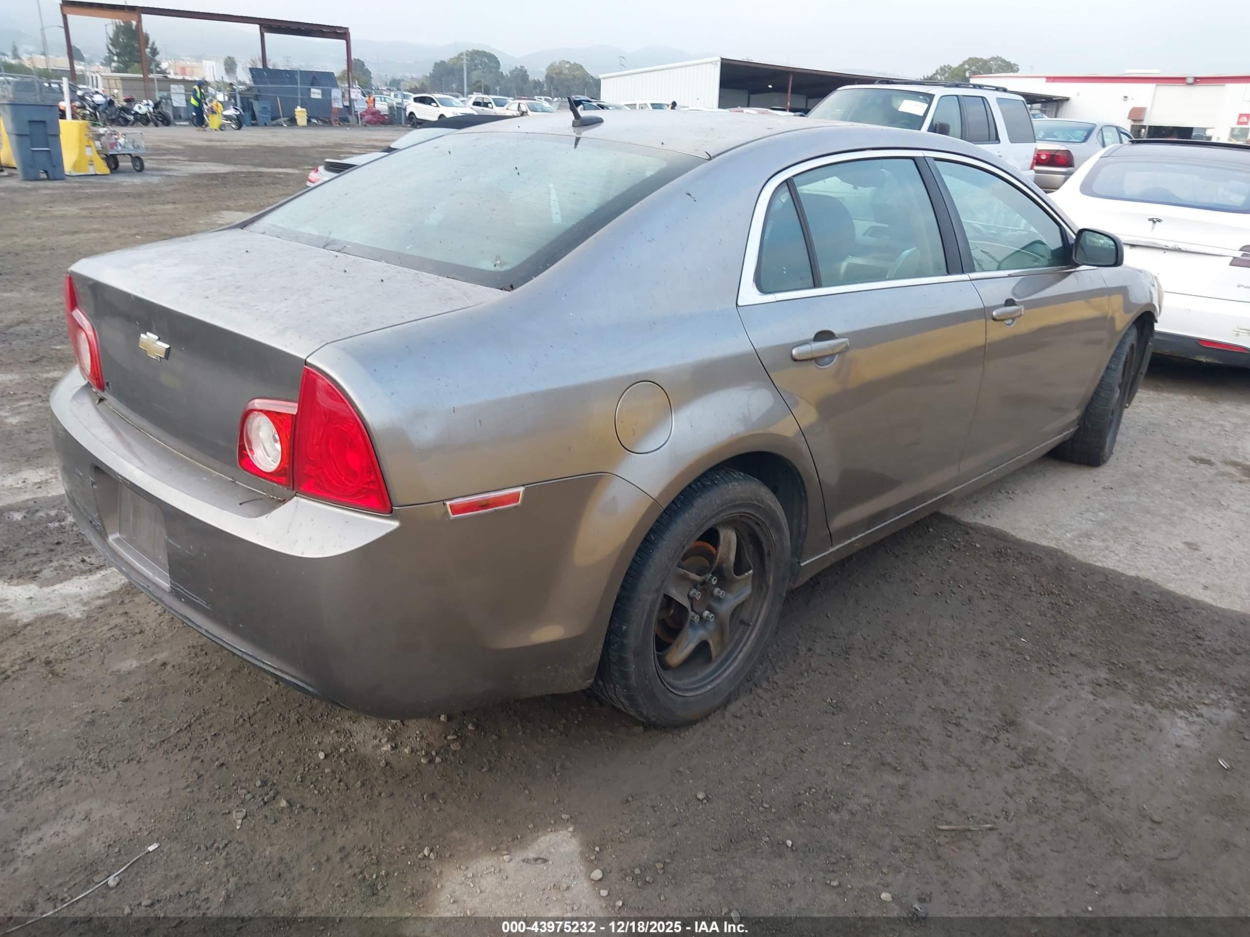 CHEVROLET MALIBU image 4