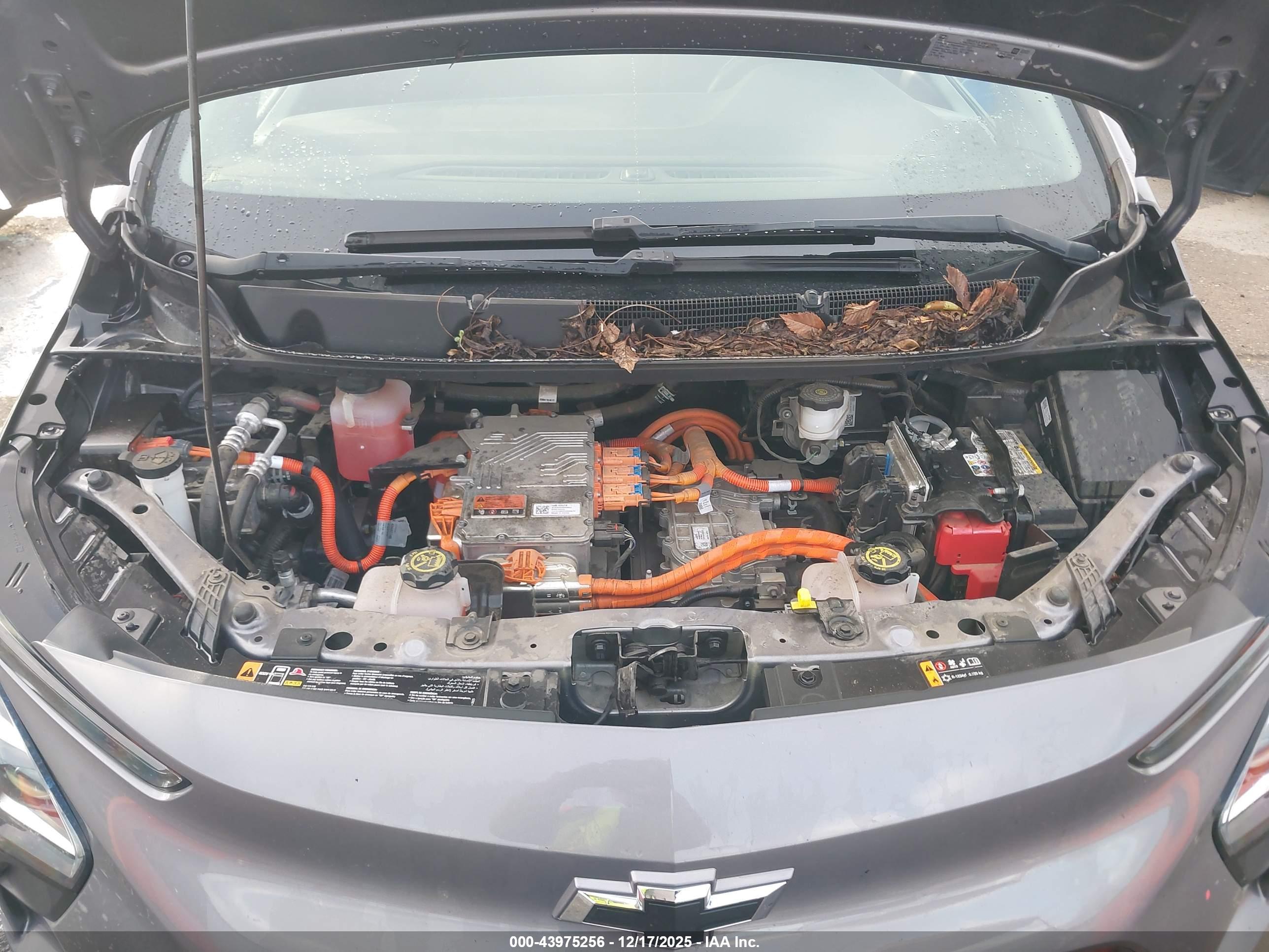 CHEVROLET BOLT image 10