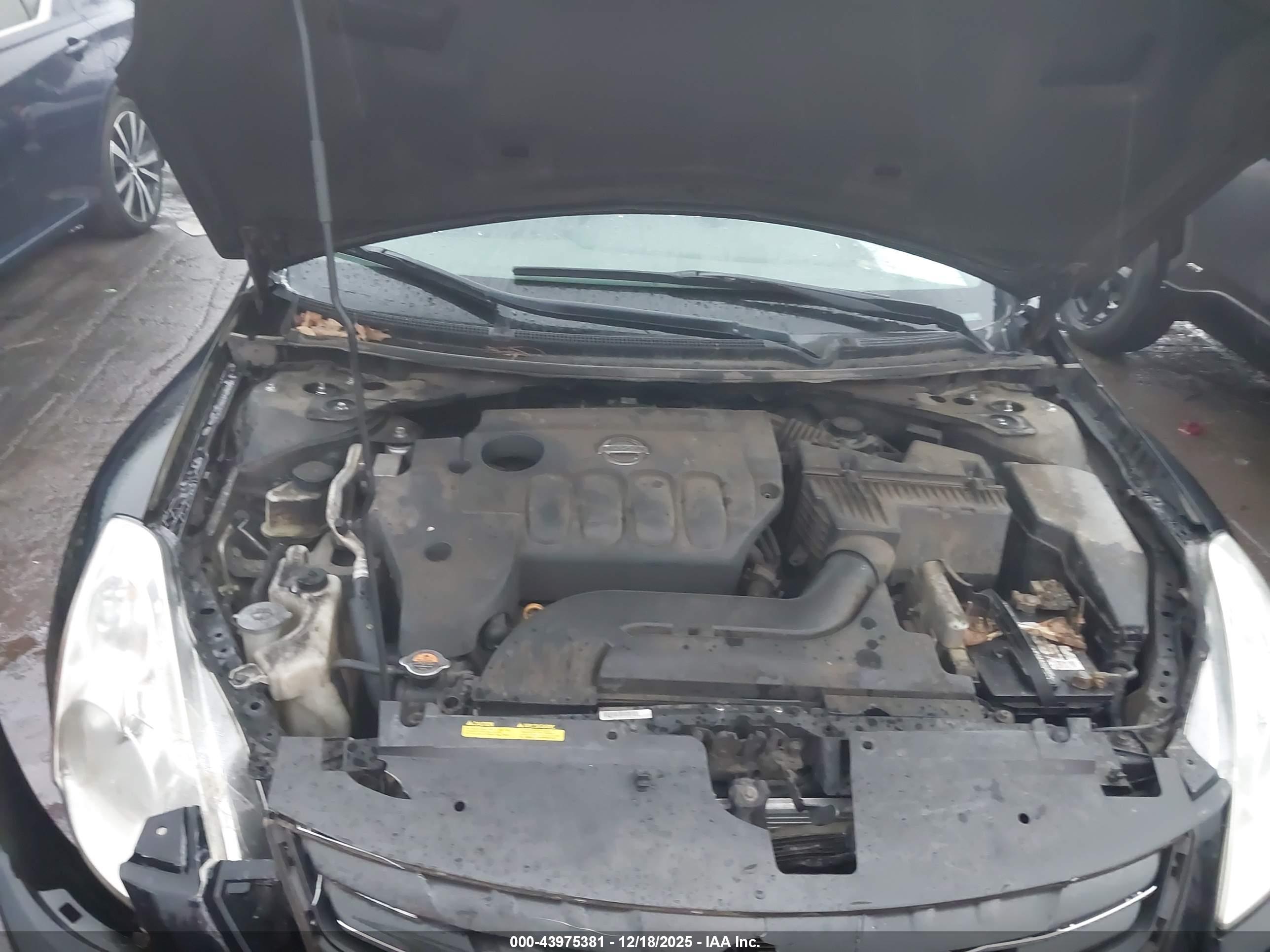NISSAN ALTIMA image 10
