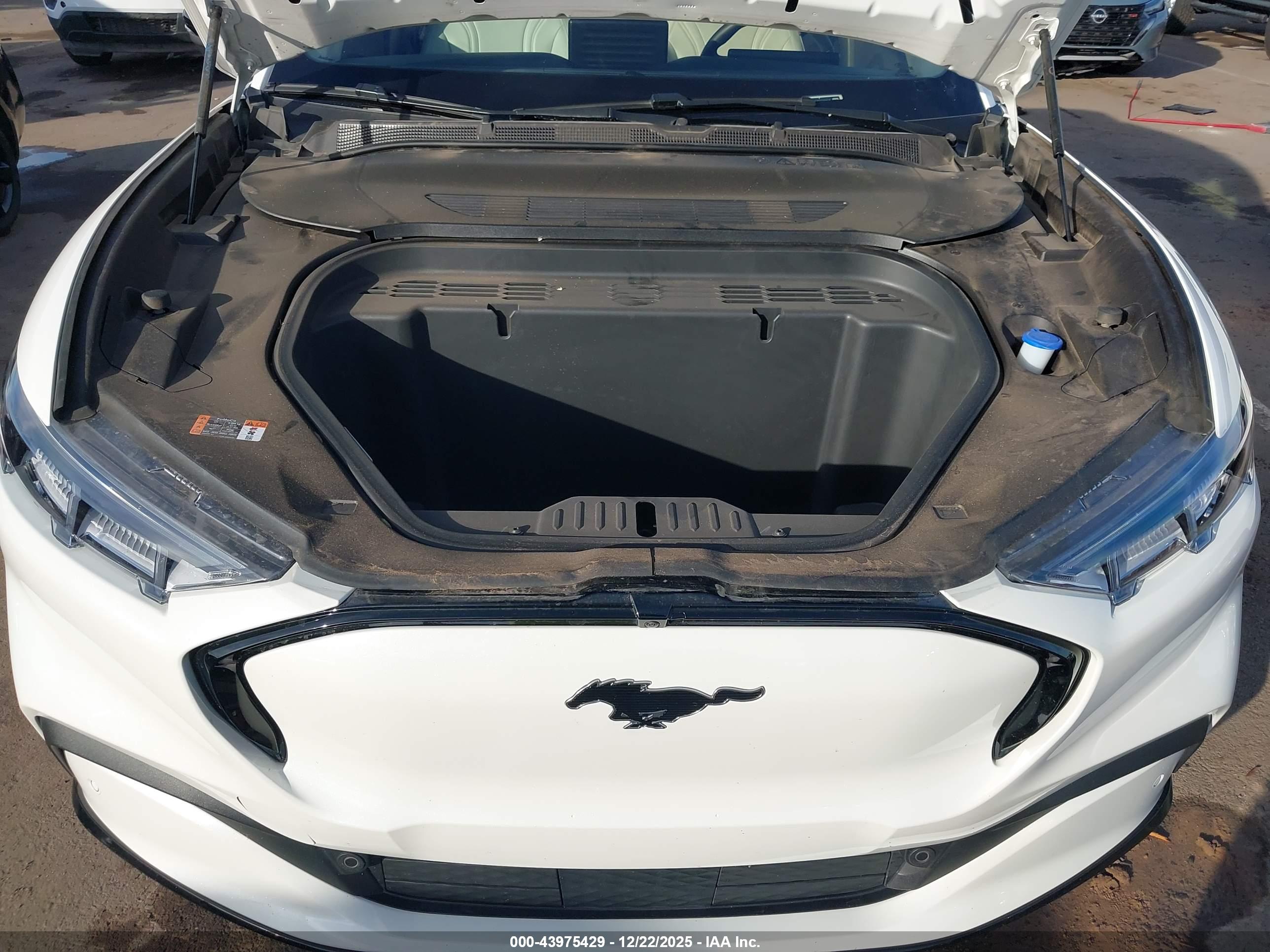 FORD MUSTANG image 10