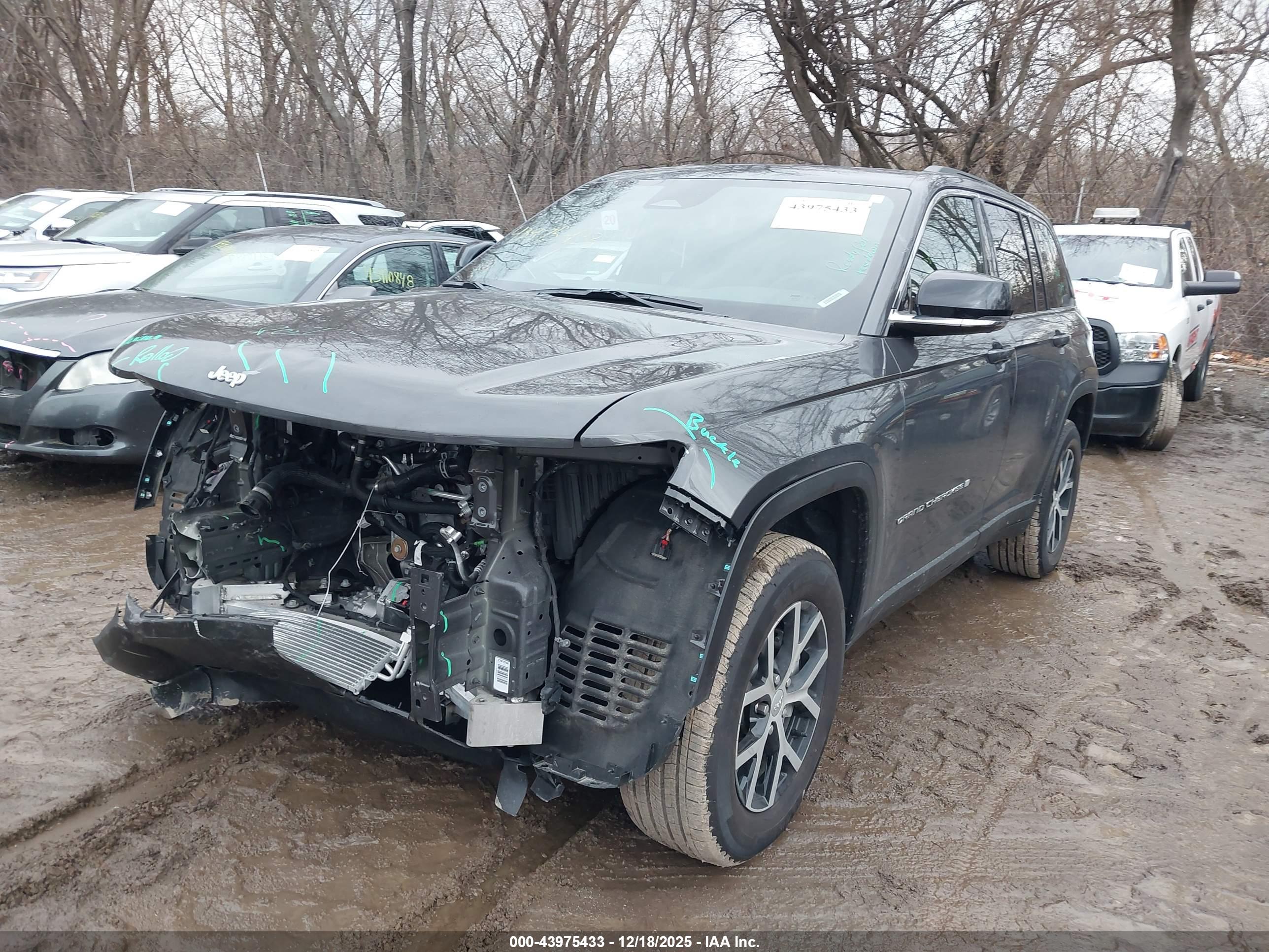 JEEP GRAND image 2