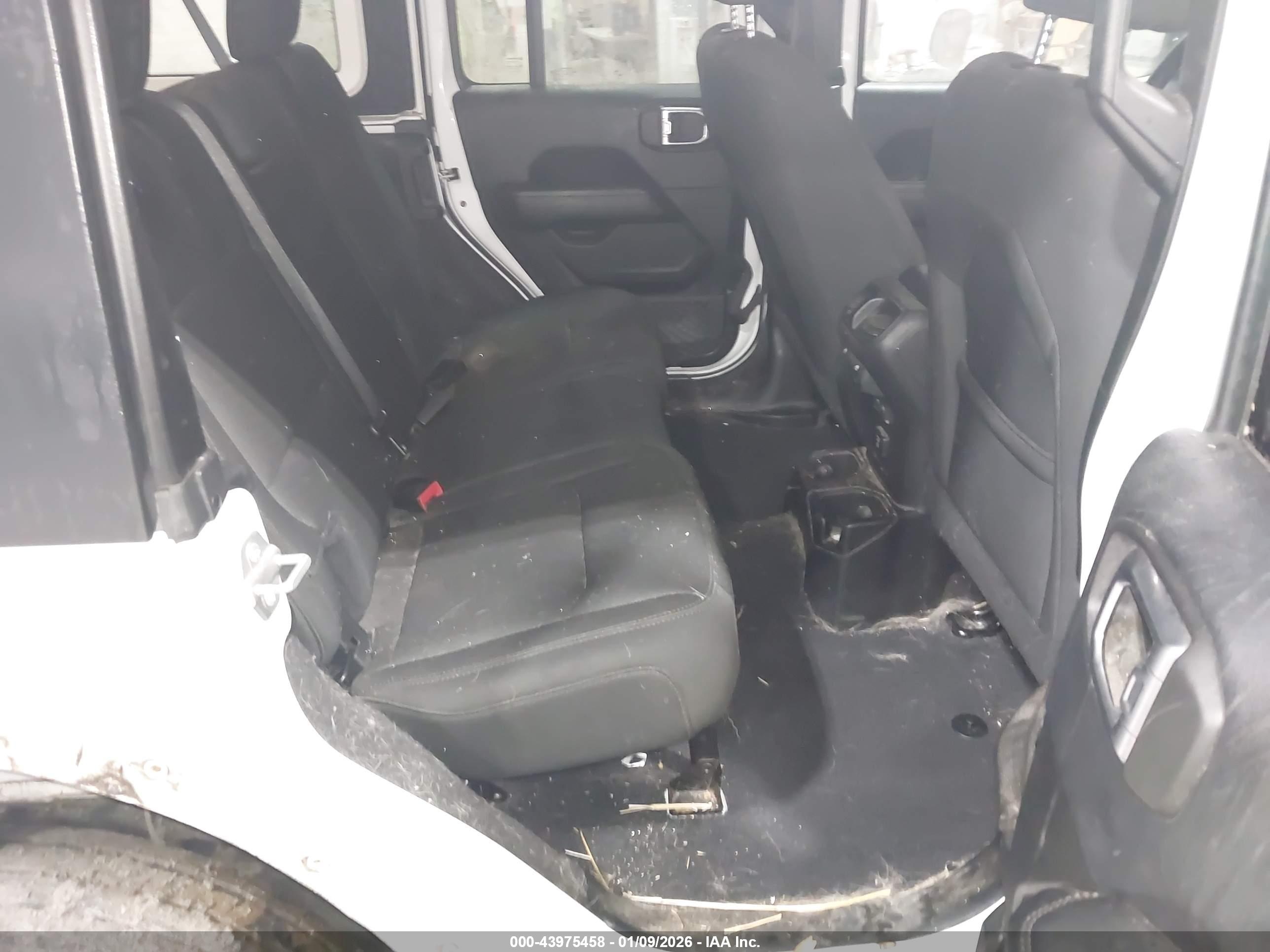 JEEP WRANGLER image 8