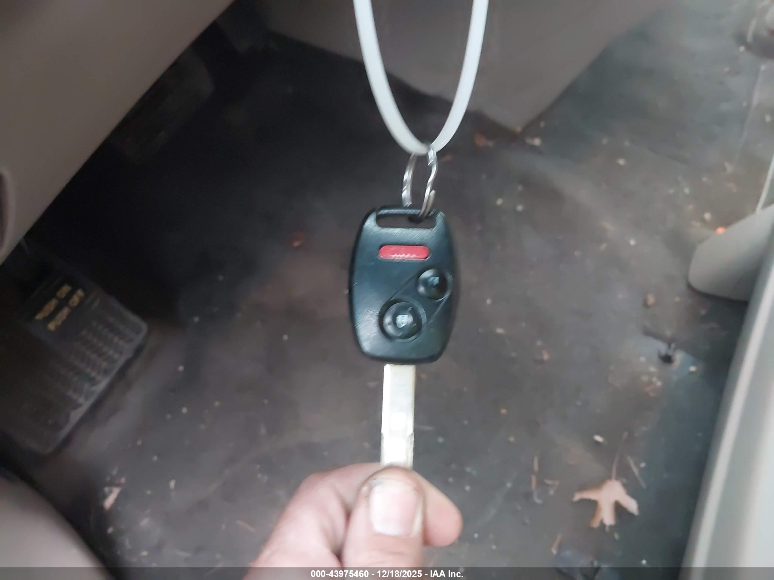 HONDA ODYSSEY image 11