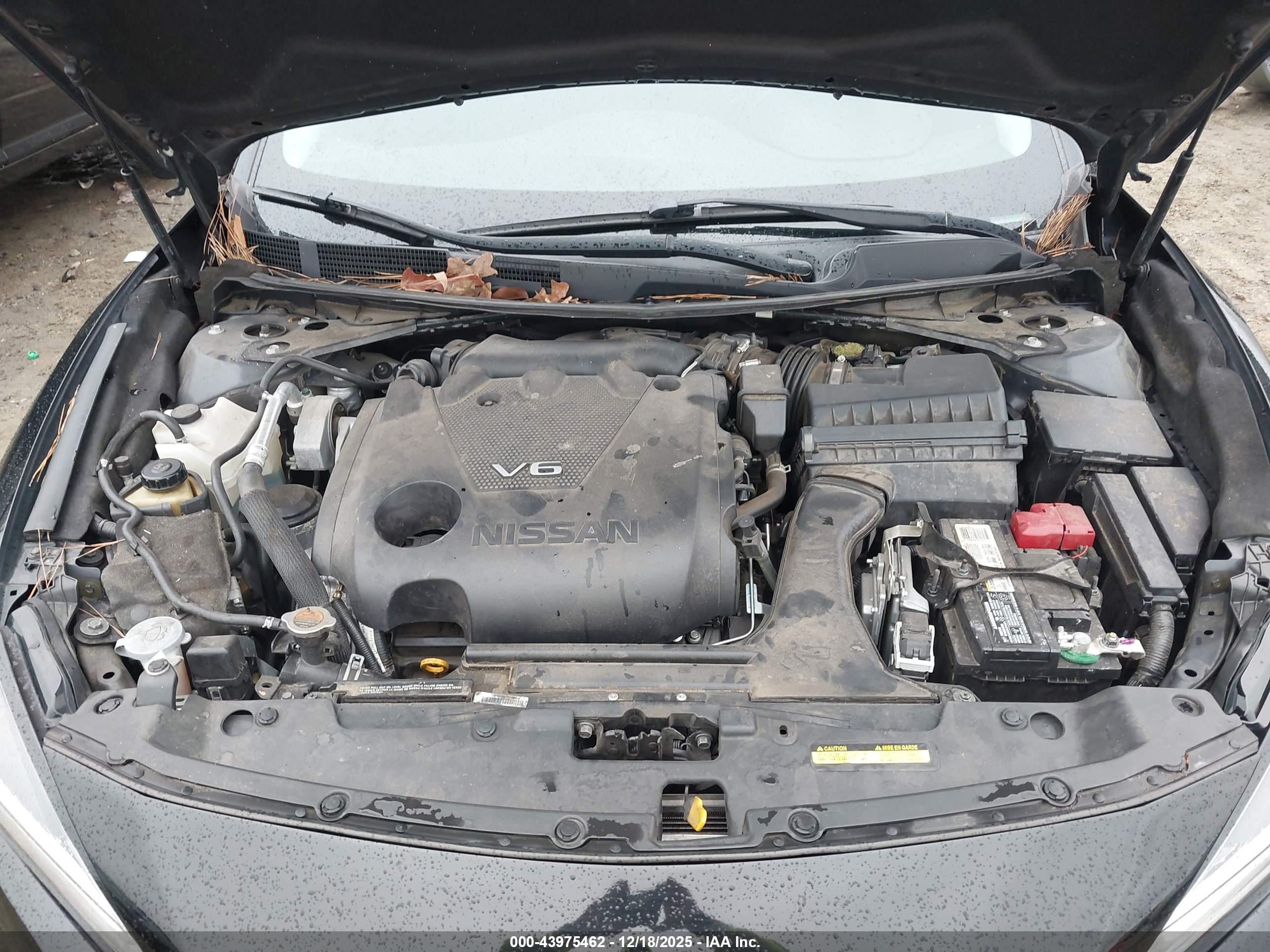 NISSAN MAXIMA image 10