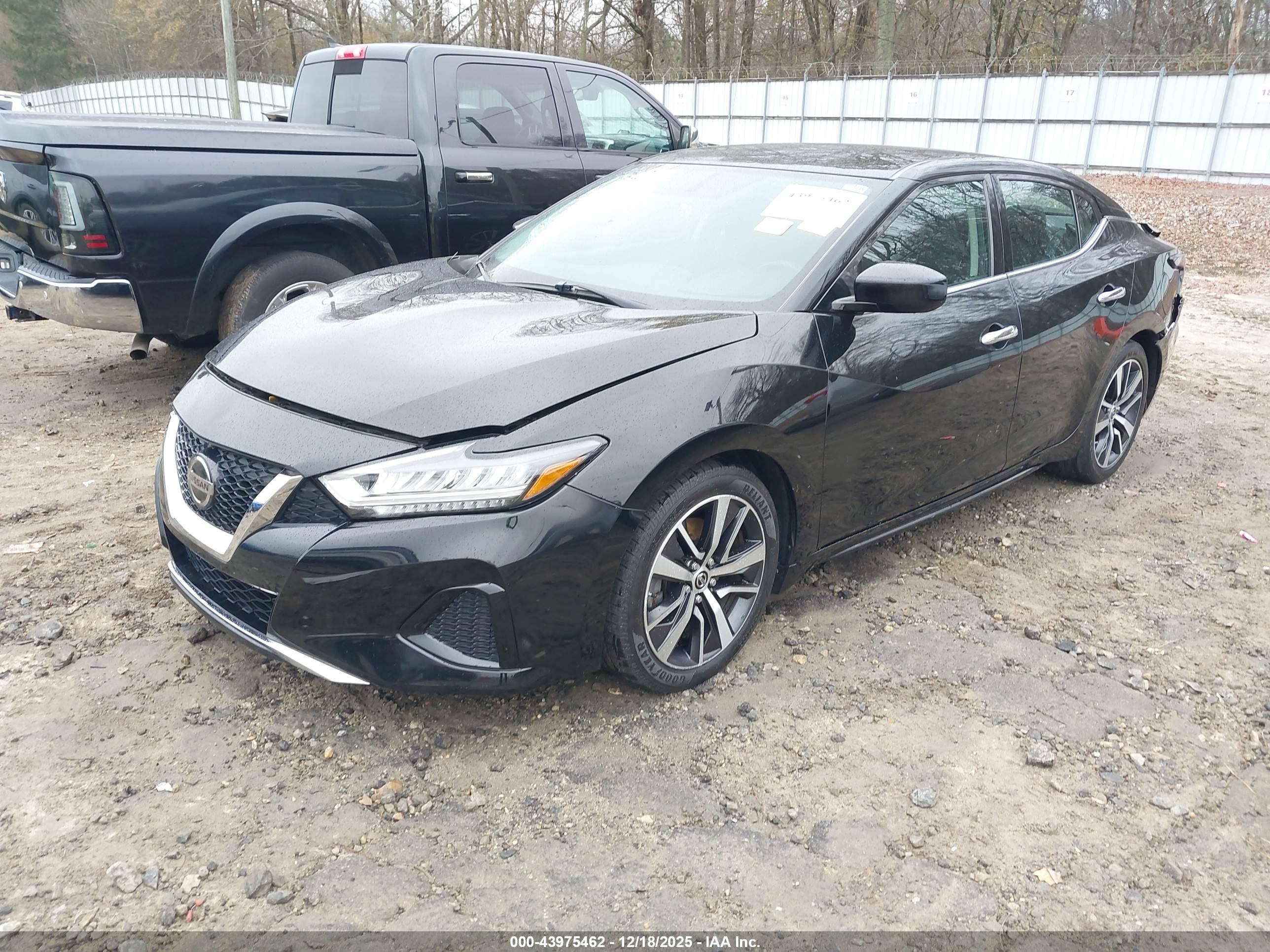 NISSAN MAXIMA image 2
