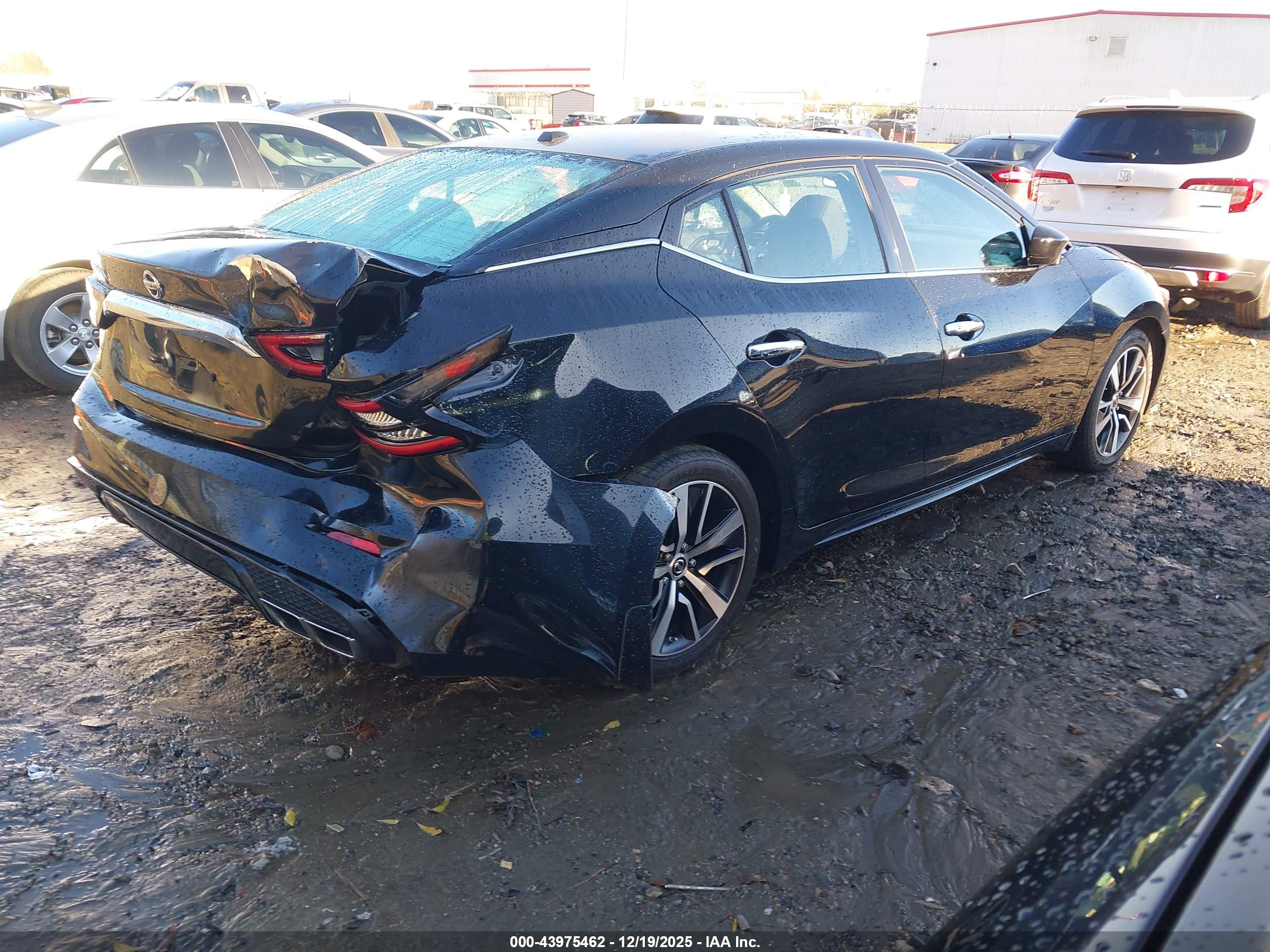NISSAN MAXIMA image 4