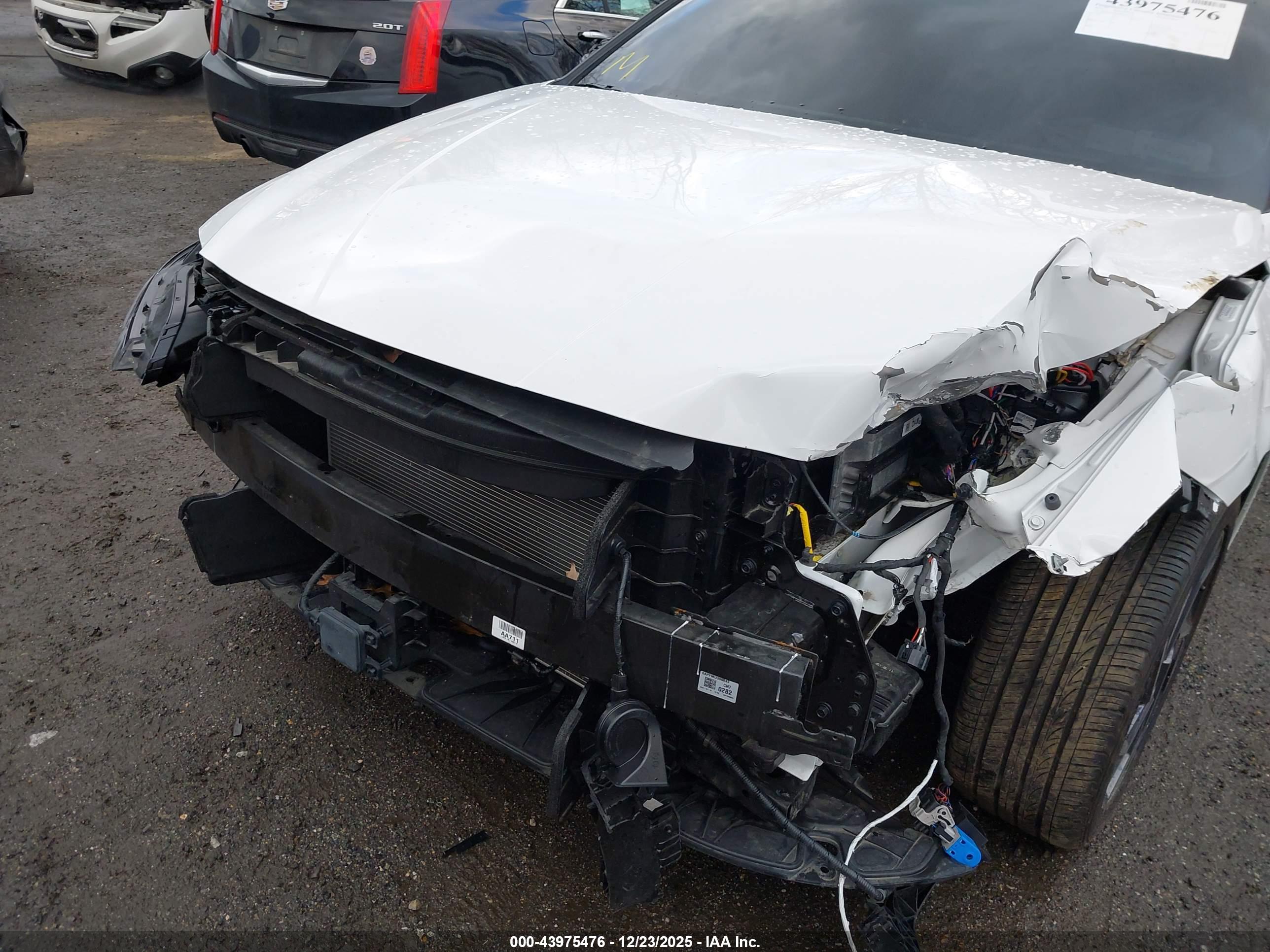 HYUNDAI ELANTRA image 6