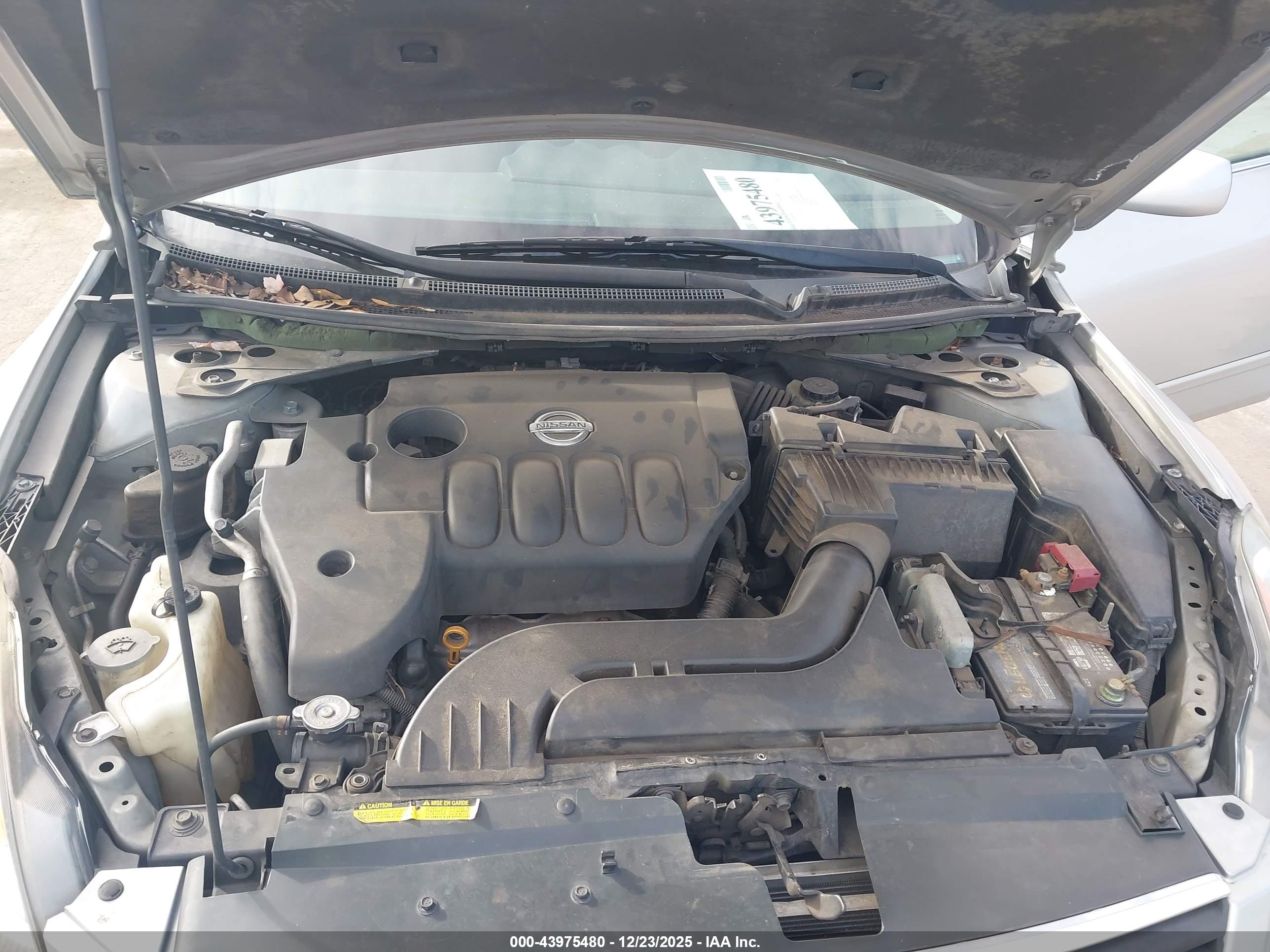 NISSAN ALTIMA image 10