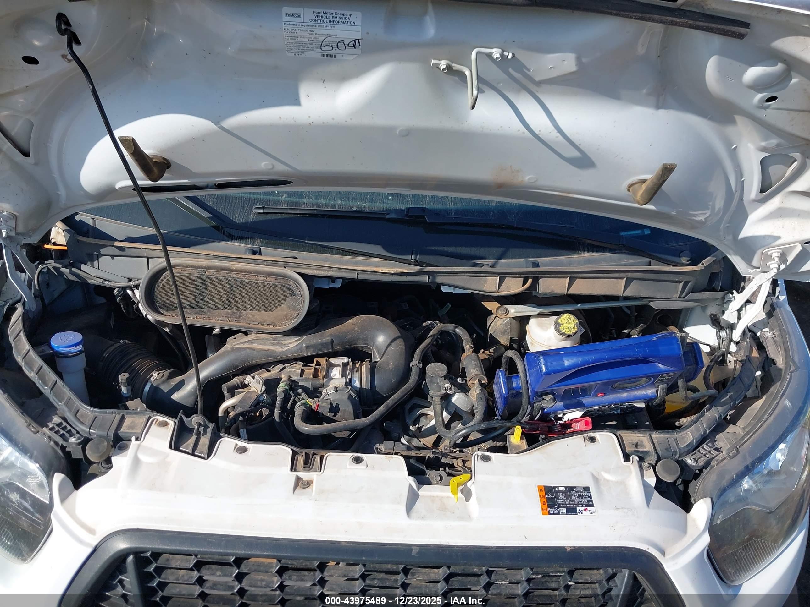 FORD TRANSIT image 10