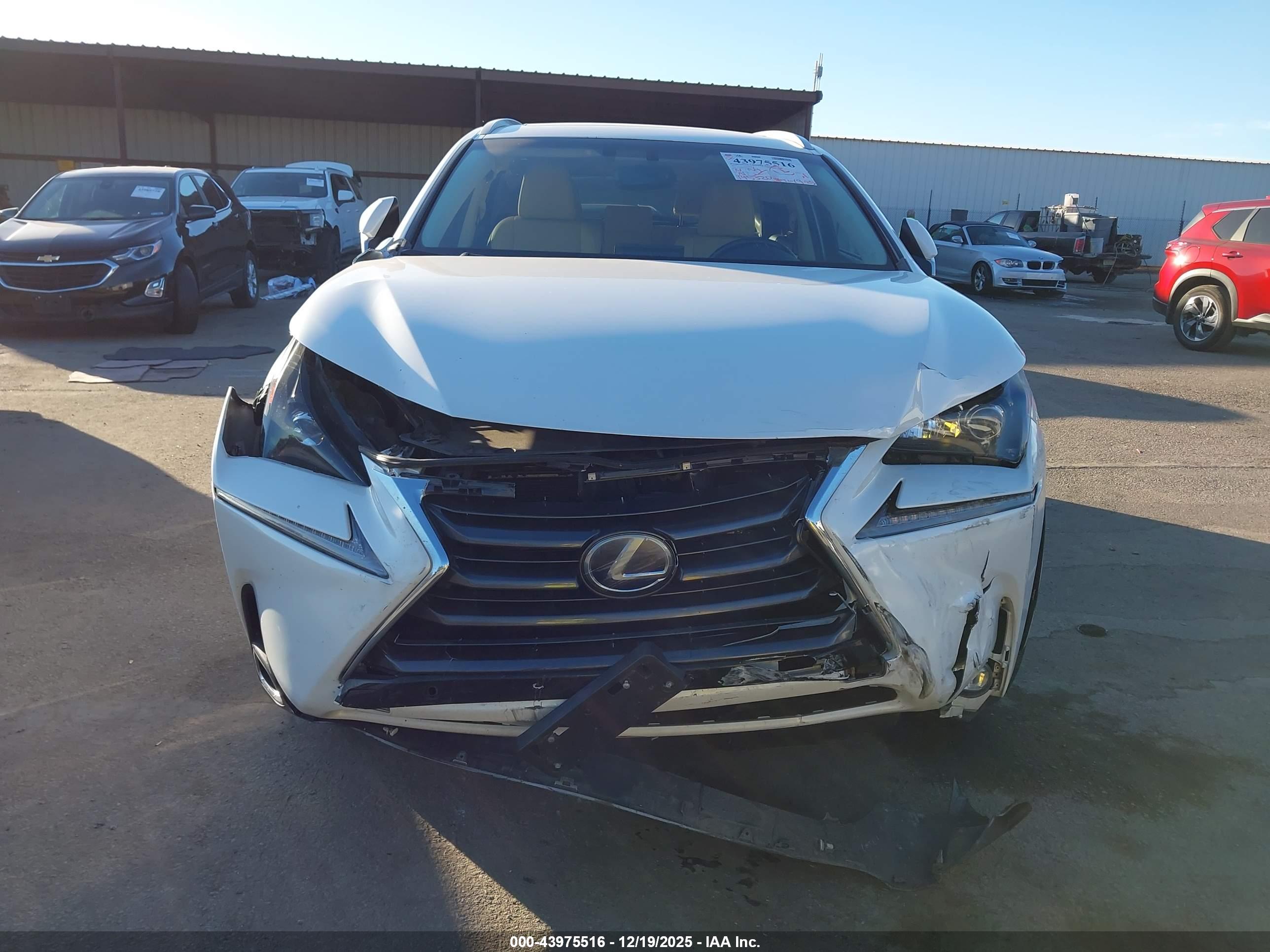 LEXUS NX image 6
