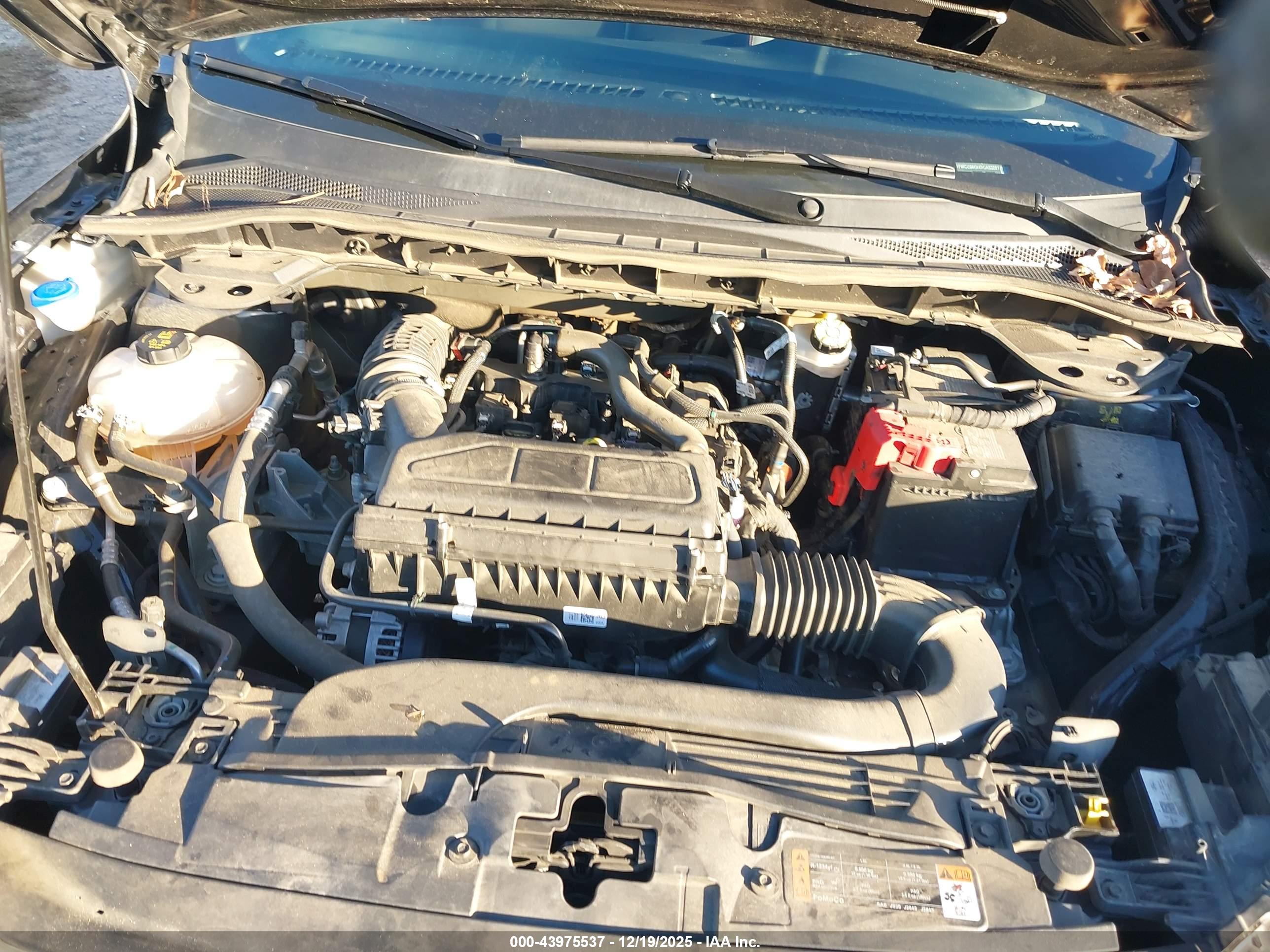FORD ESCAPE image 10