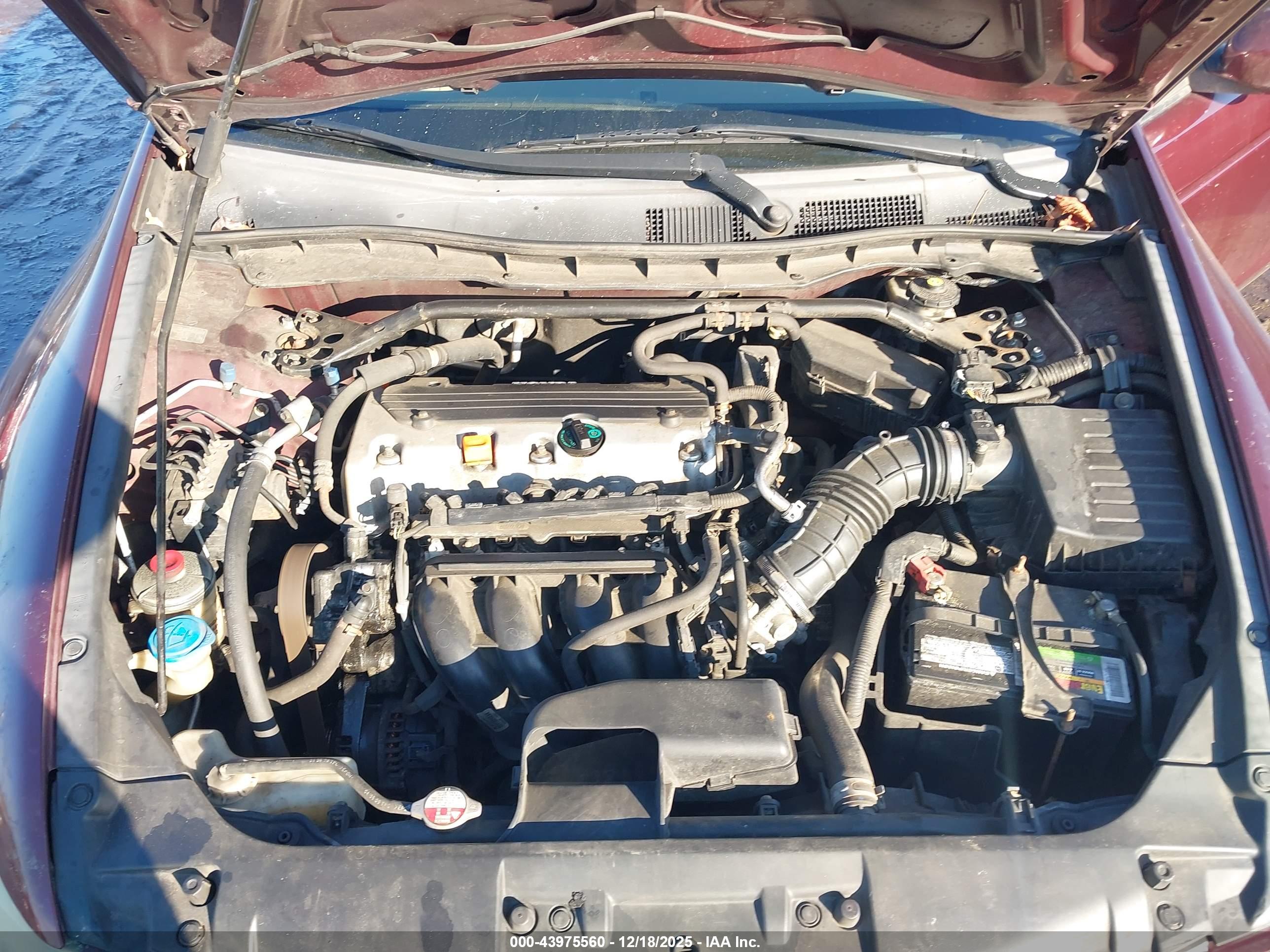 HONDA ACCORD image 10